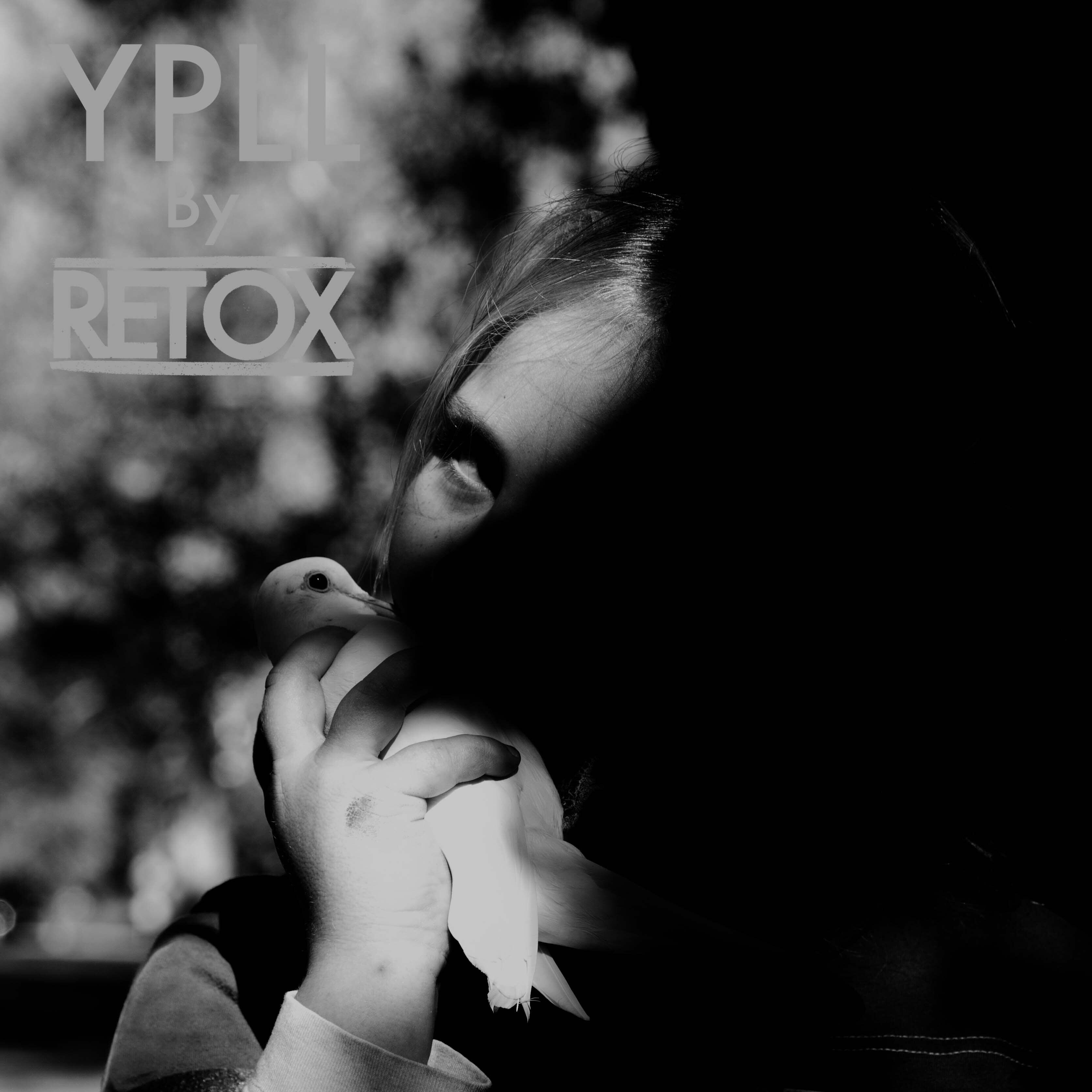 Релиз YPLL