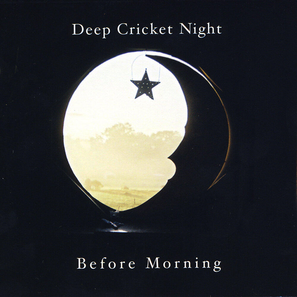 Релиз Before Morning