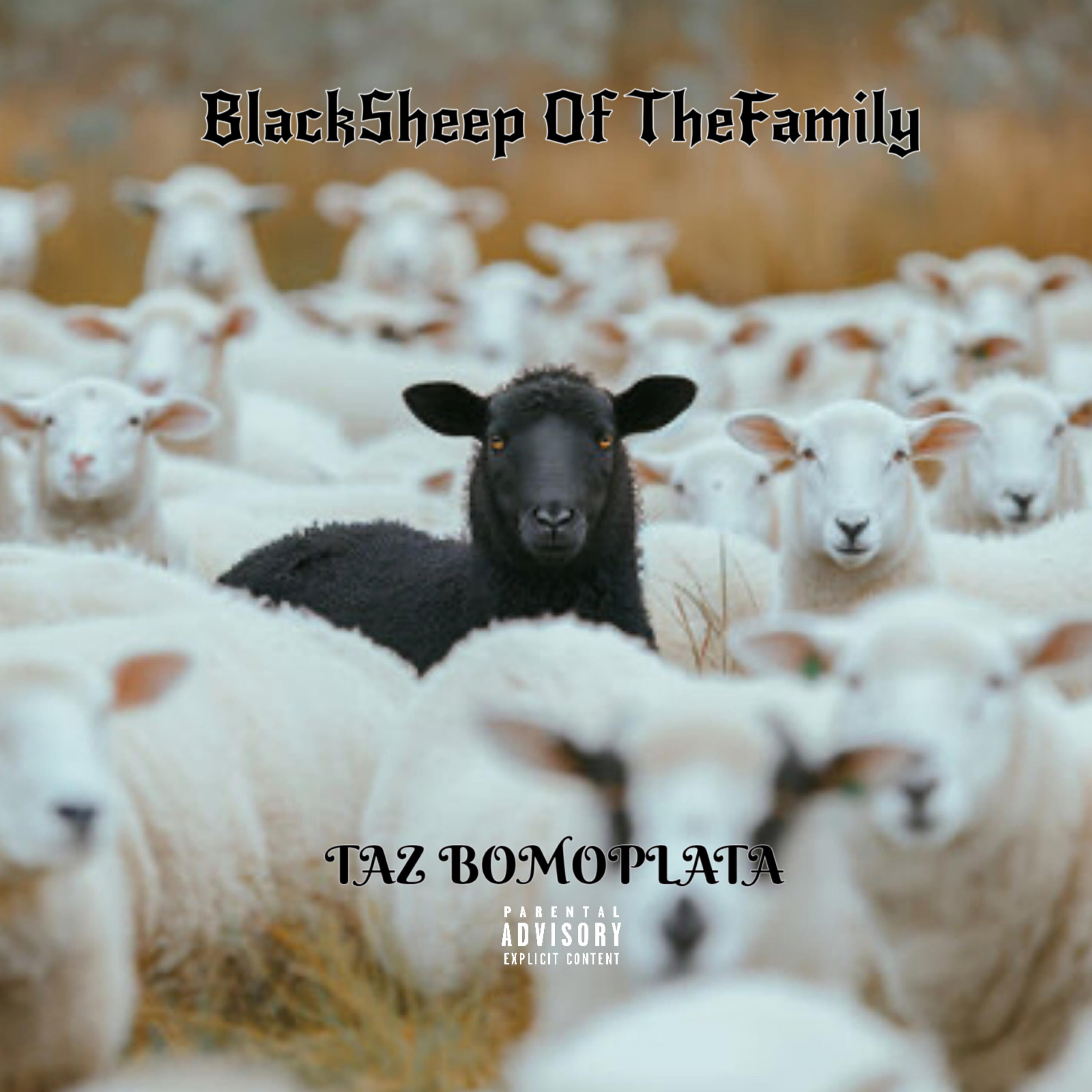 Релиз BLACK SHEEP OF THE FAMILY