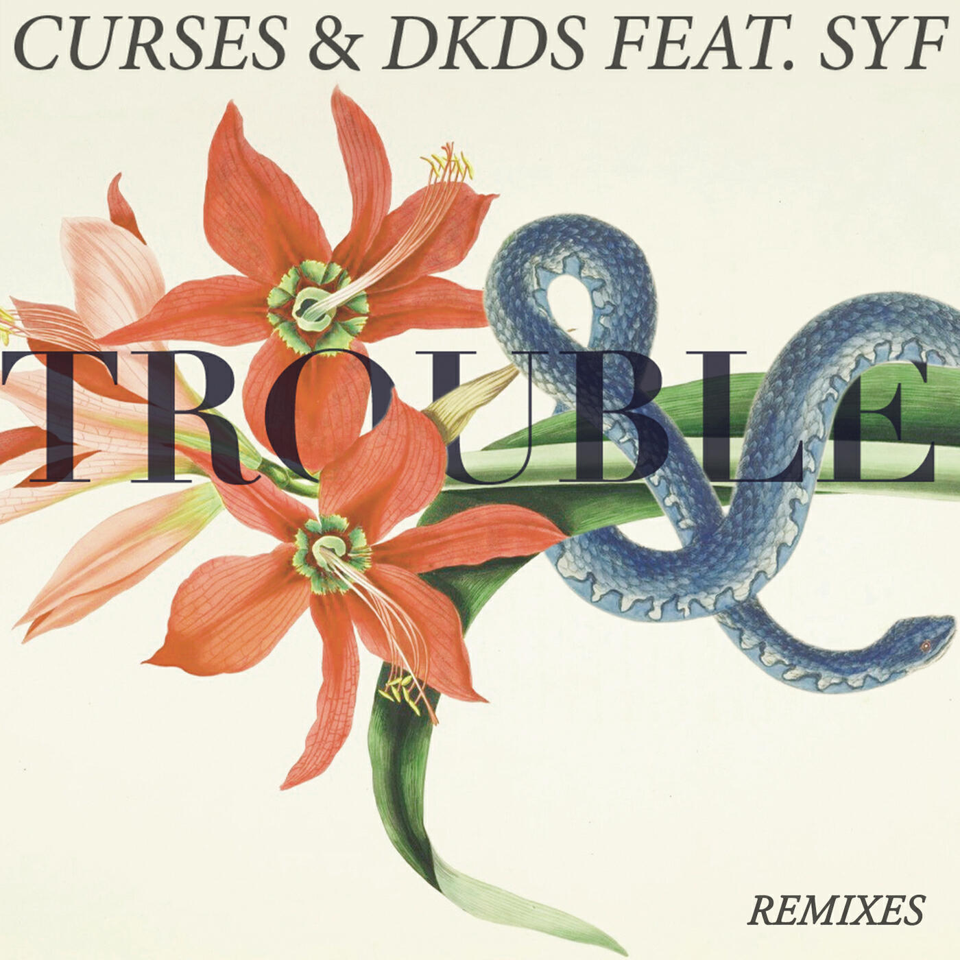 Релиз Trouble (Remixes)