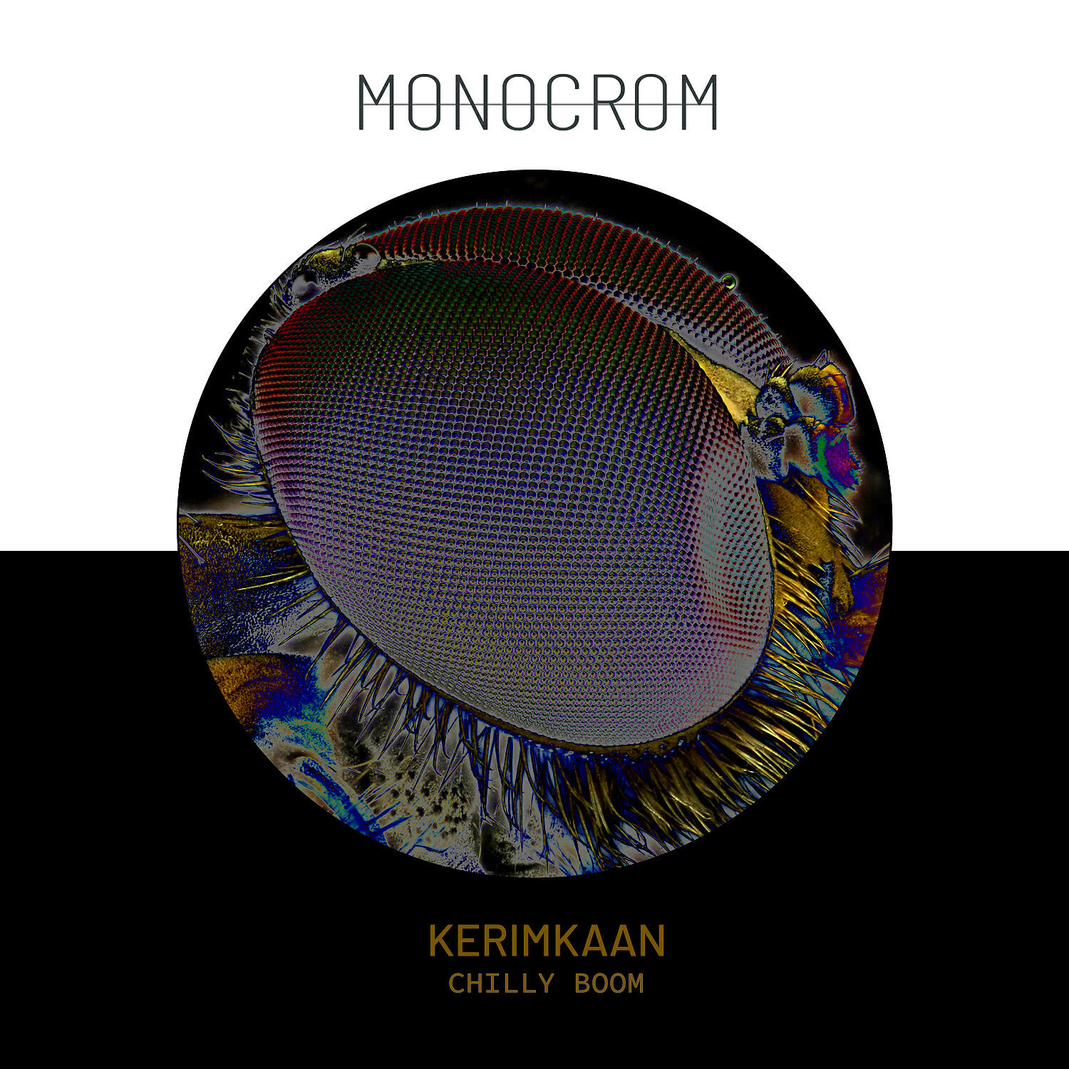 Релиз Chilly Boom