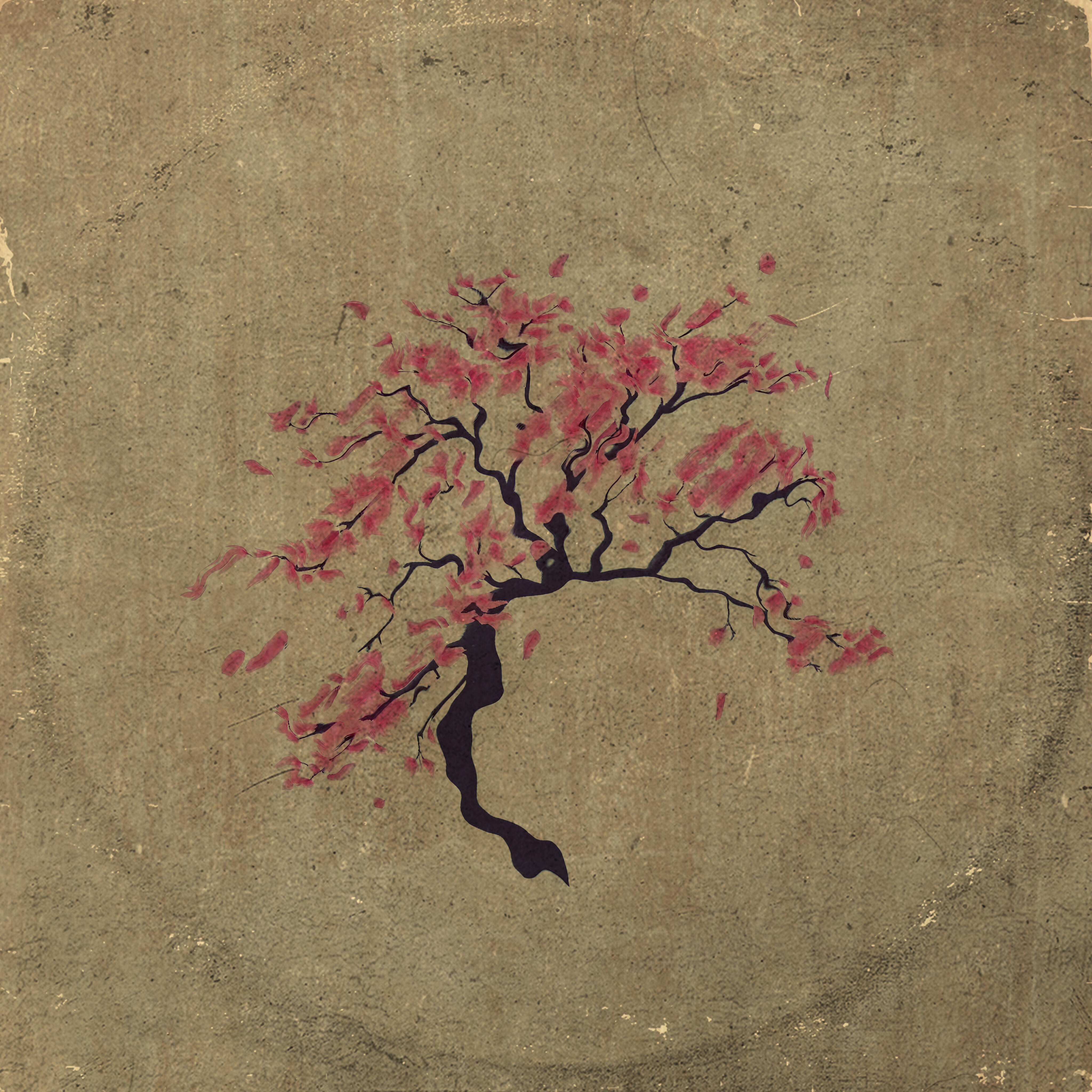 Релиз Sakura