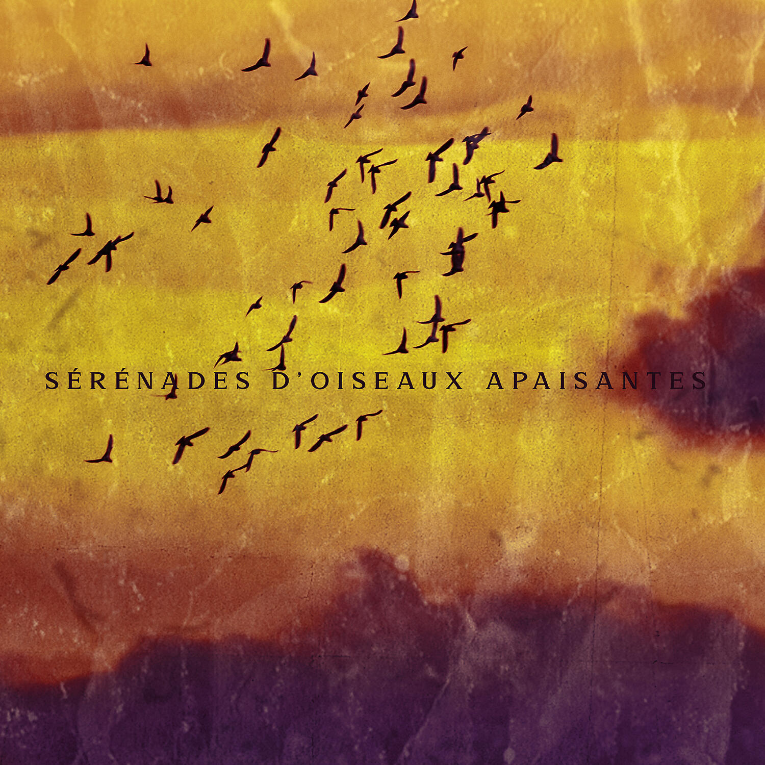Релиз Sérénades d'oiseaux apaisantes: Temps de méditation, Relaxation profonde, Repos sain