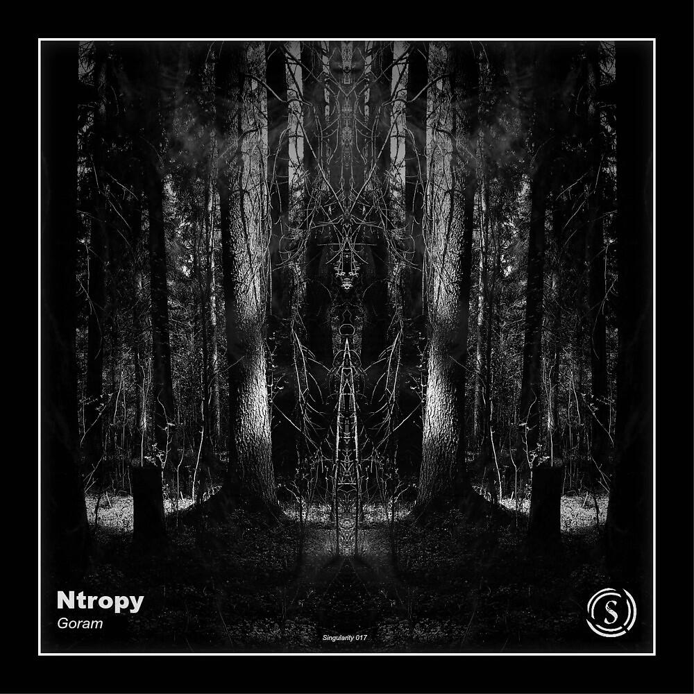 Ntropy