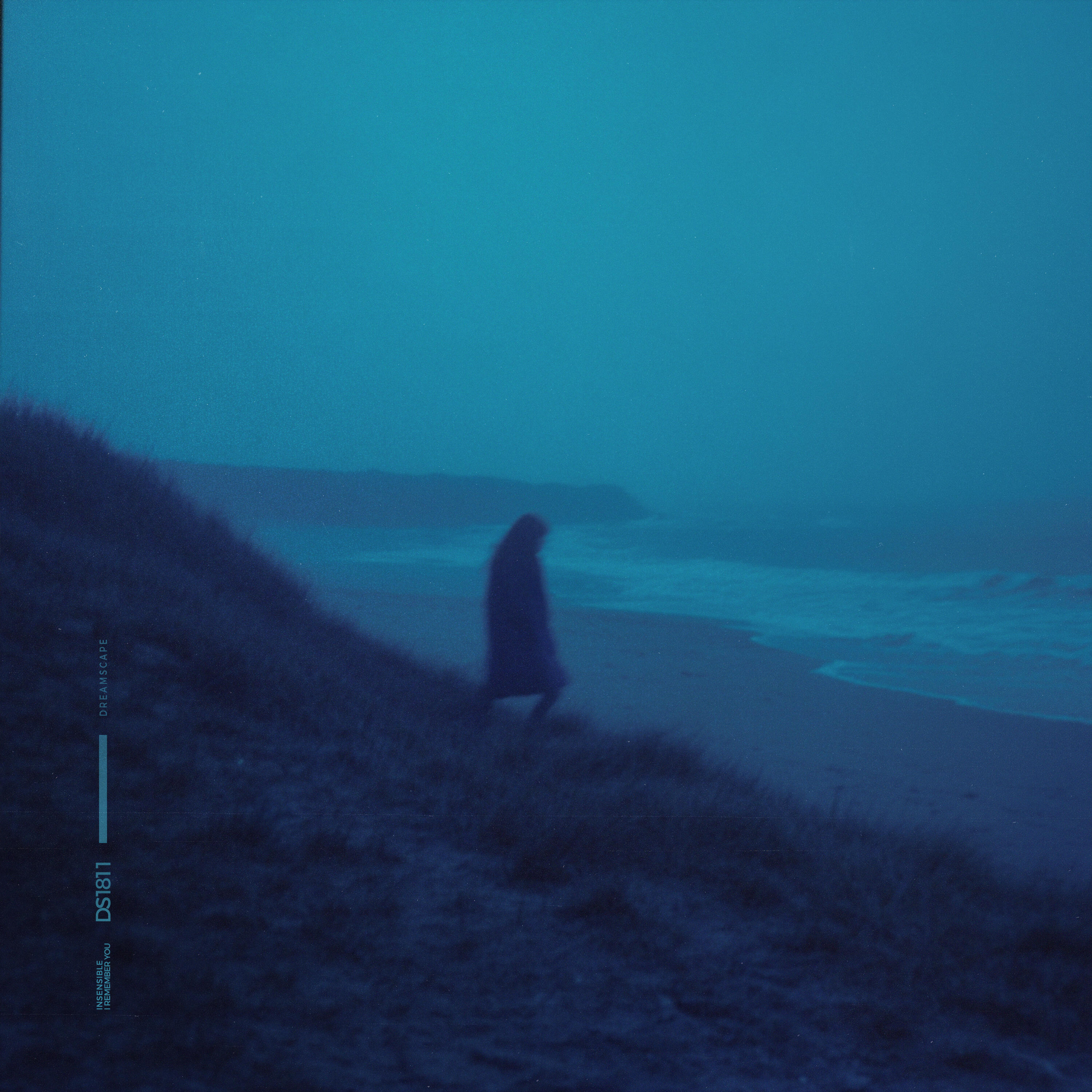 Релиз i remember you