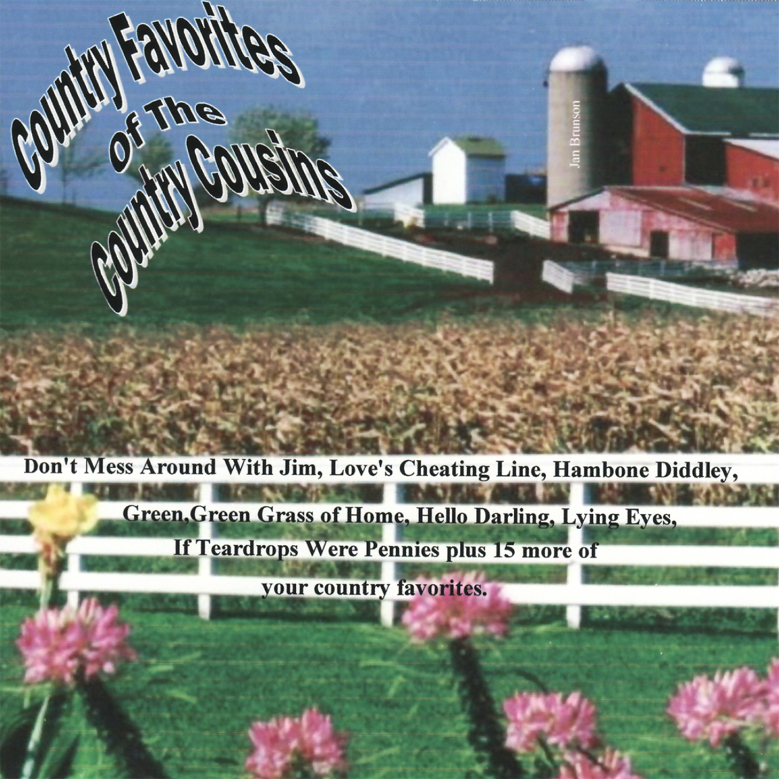 Релиз Country Favorites