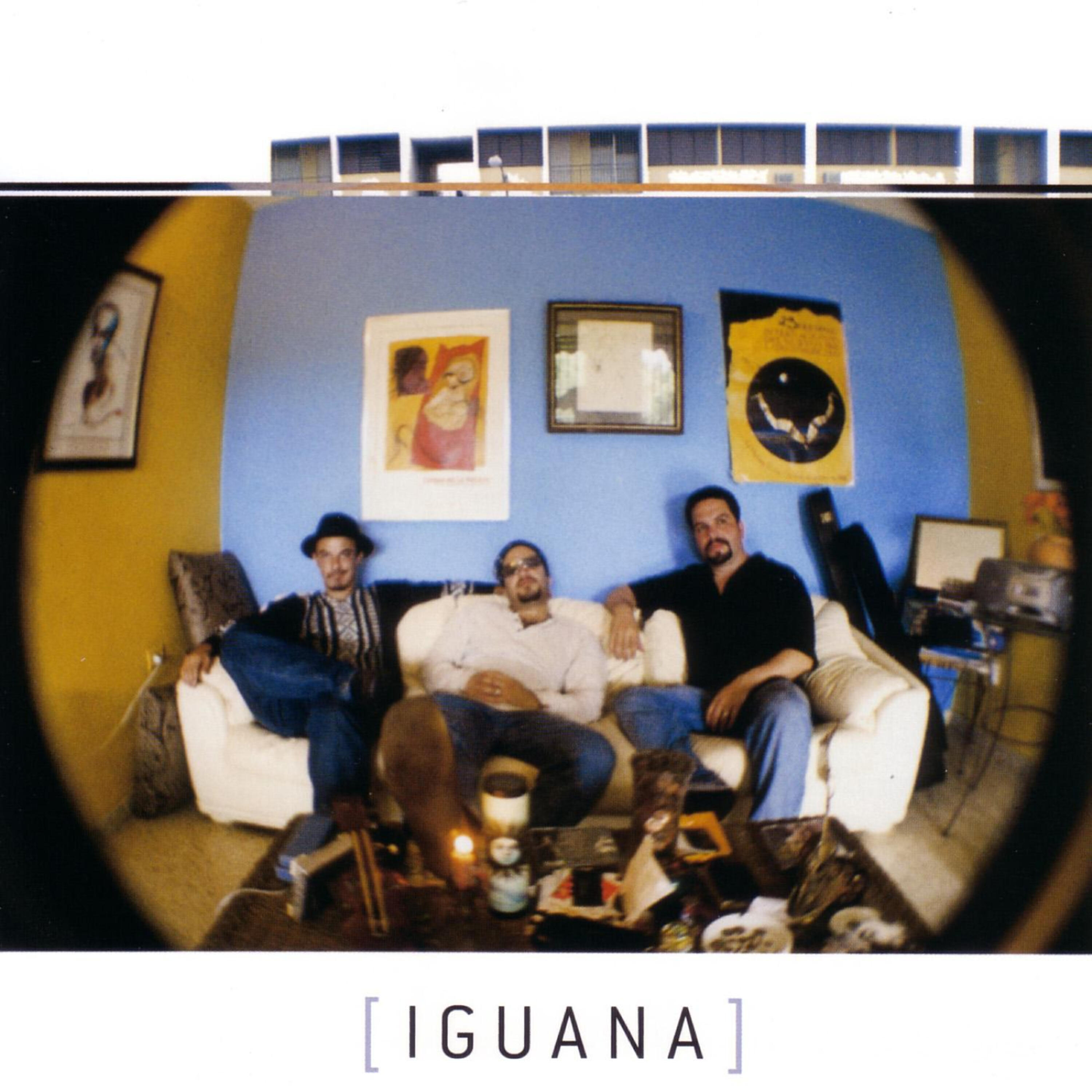 Релиз Iguana