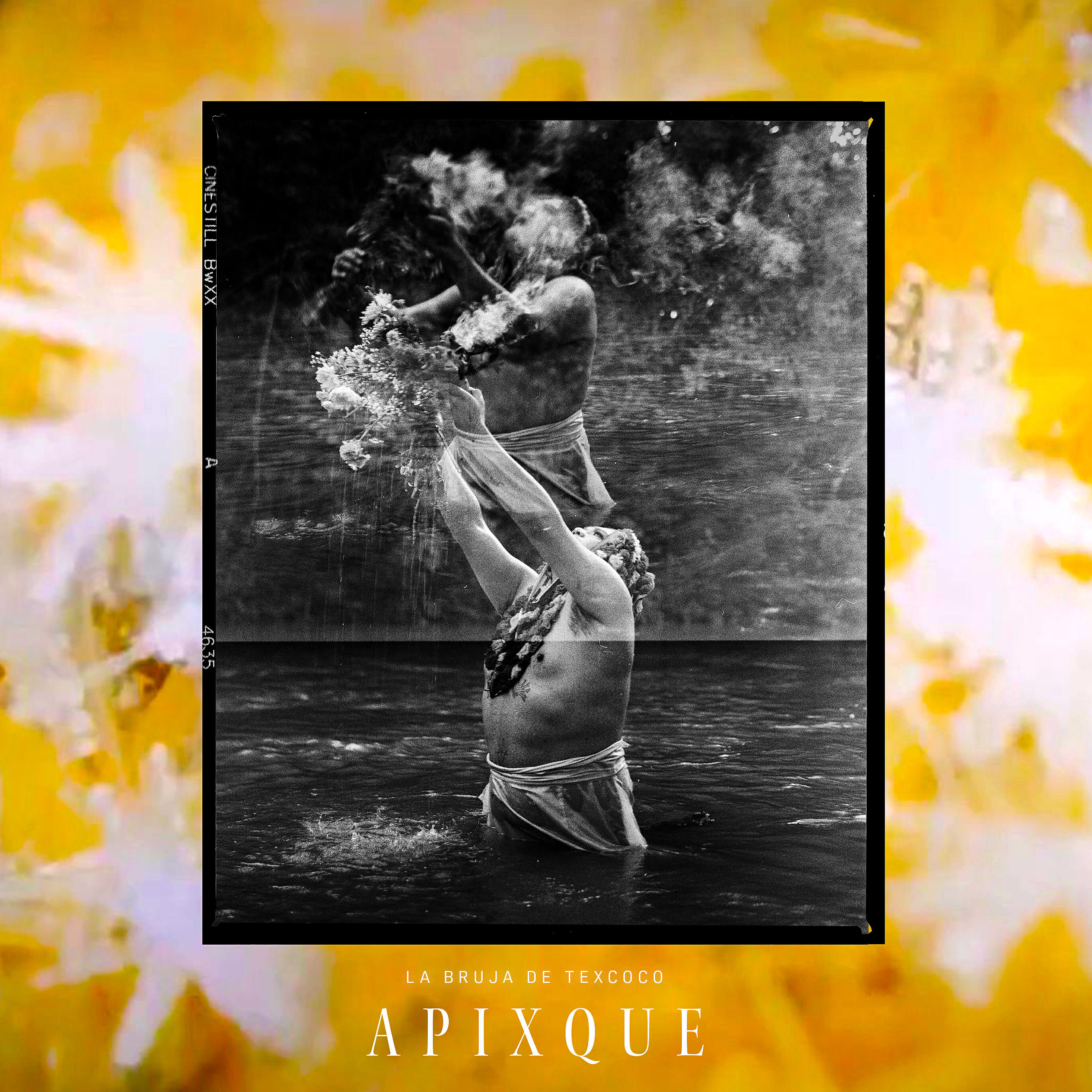 Релиз Apixque