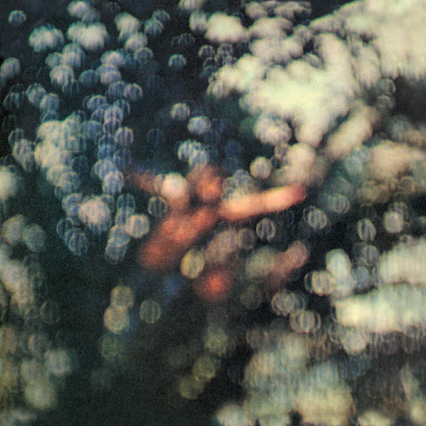 Постер альбома Obscured by Clouds