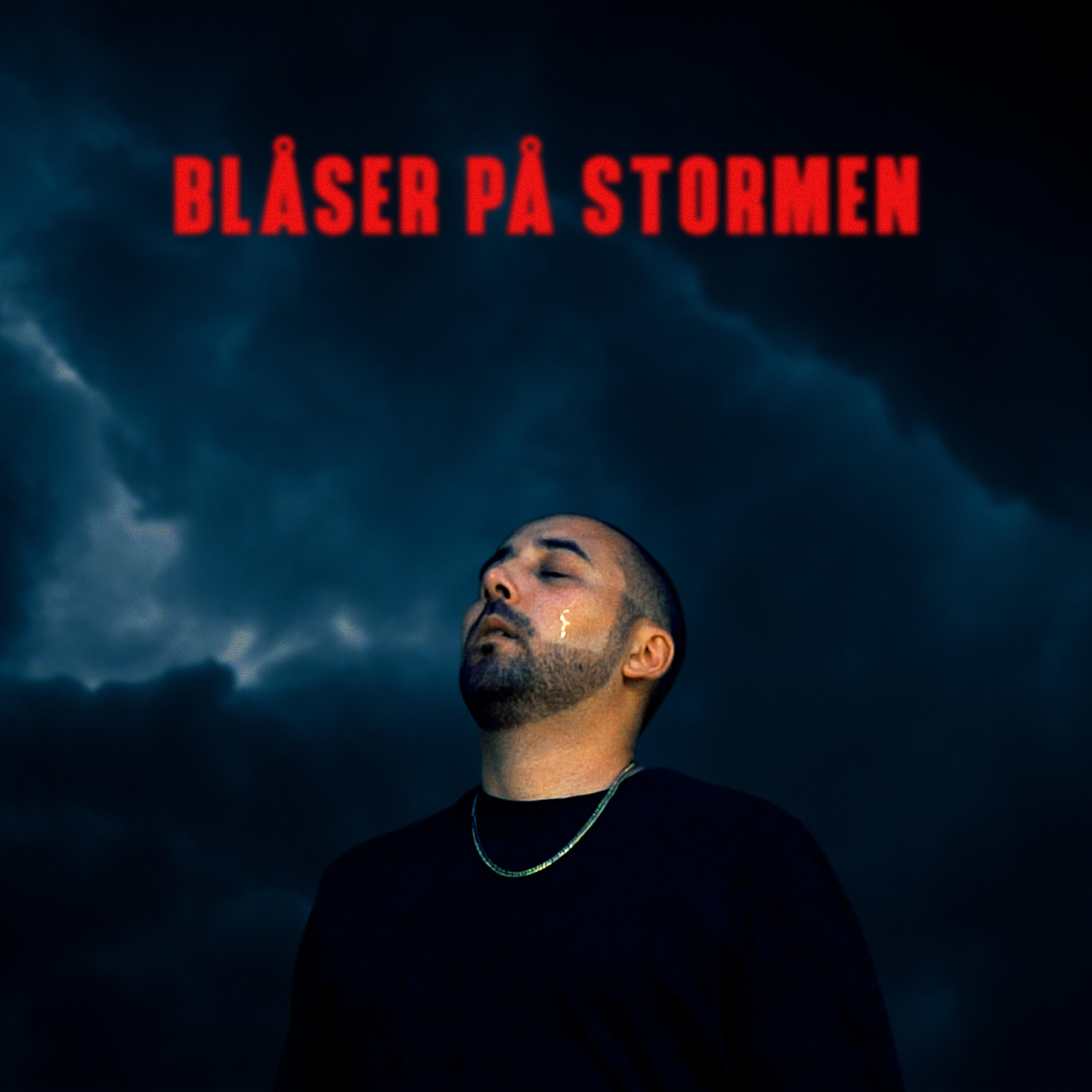 Релиз Blåser på stormen