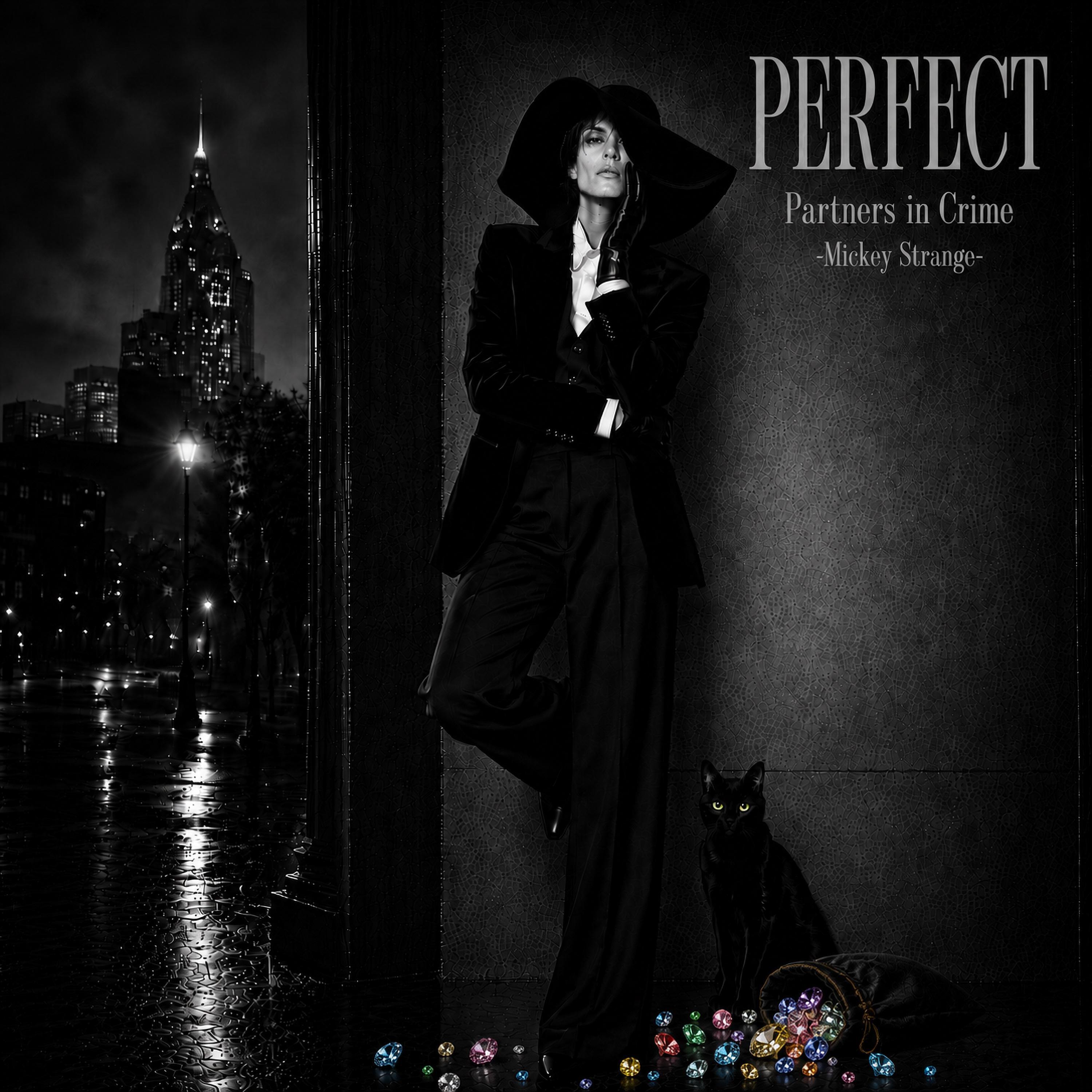Релиз Perfect Partners in Crime