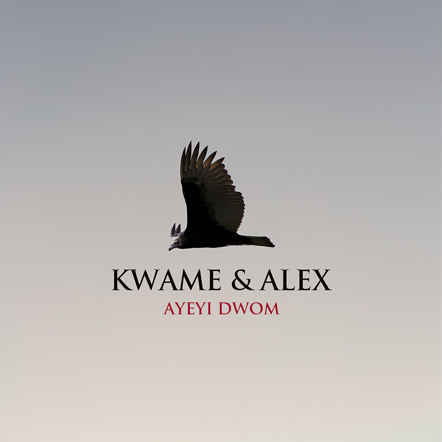 Kwame & Alex