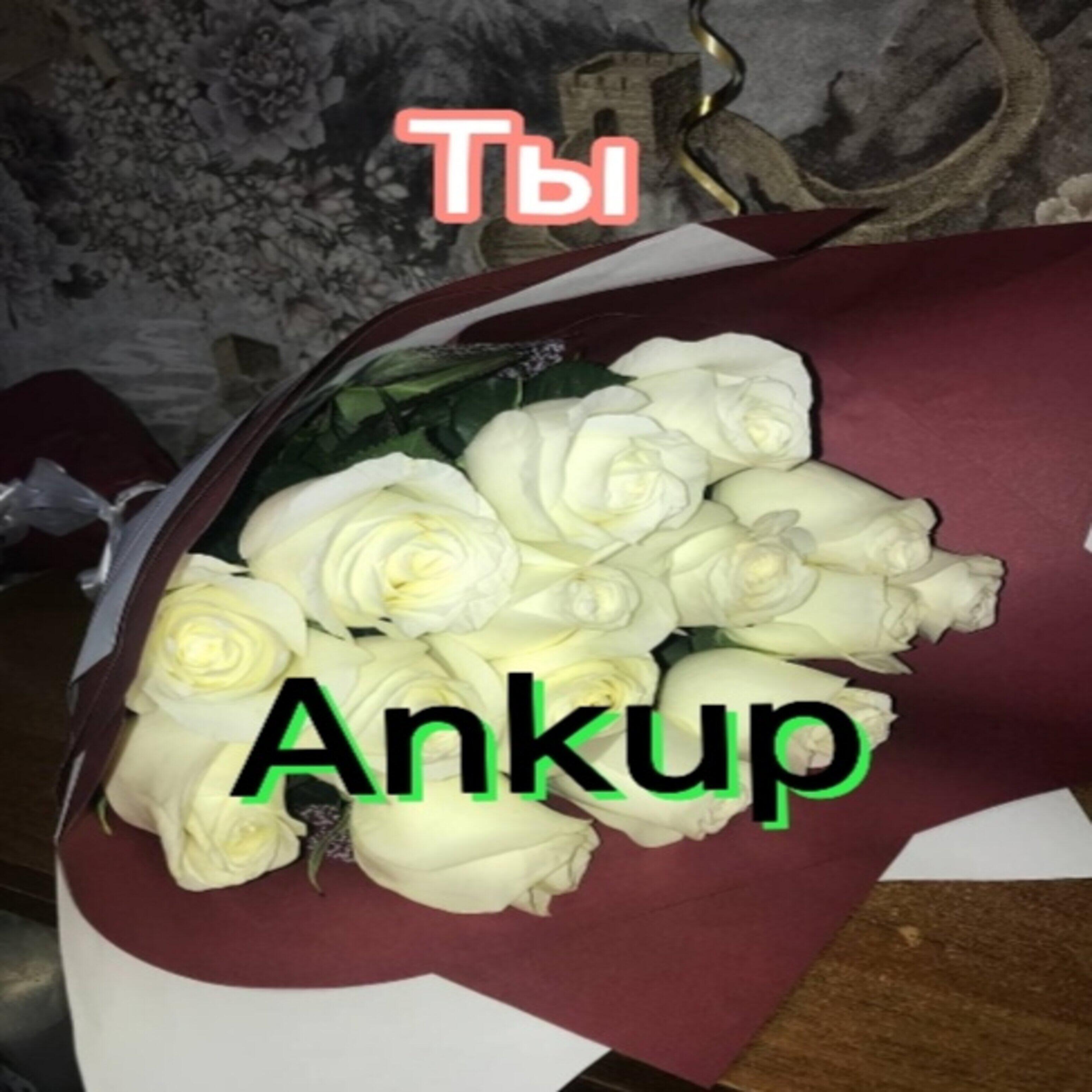 Релиз Ты