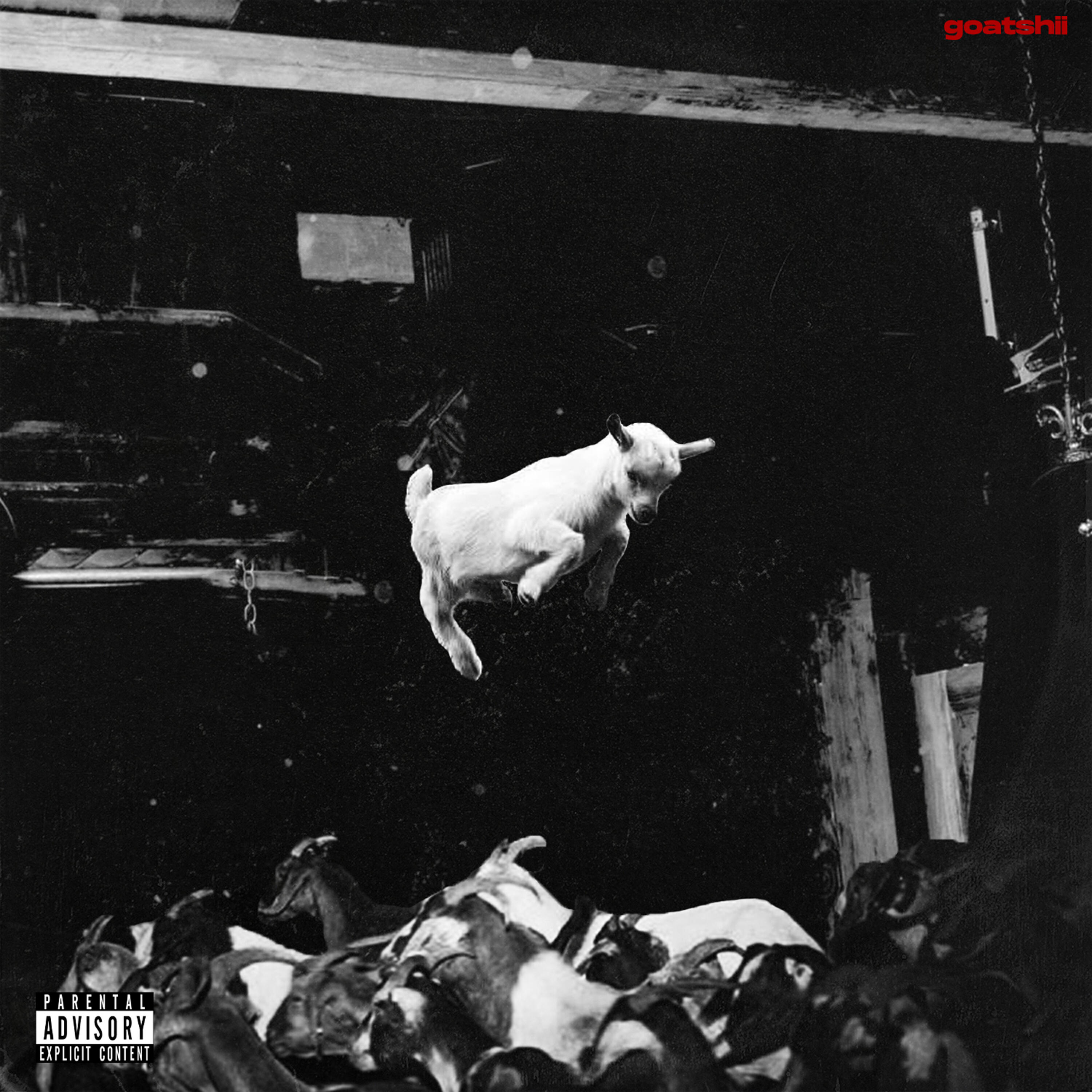 Релиз goatshii
