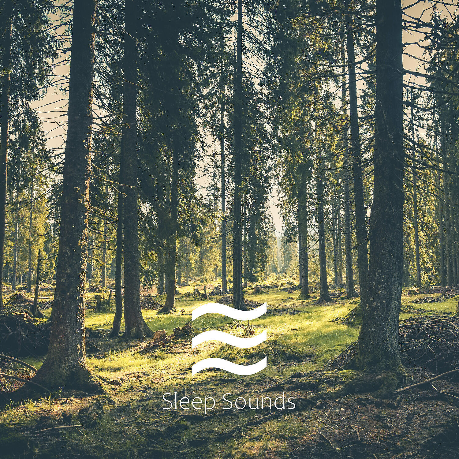 Релиз Shushing Sleeping Forest