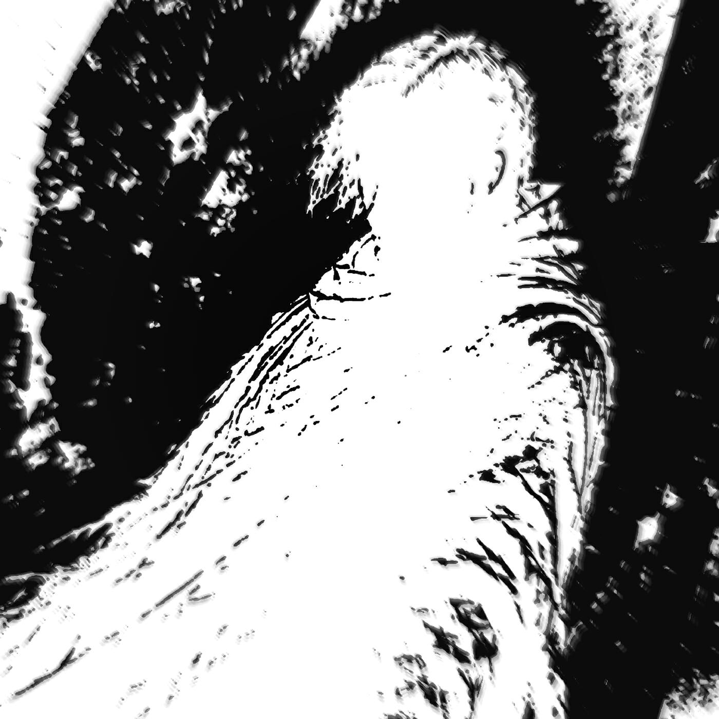 Релиз Brutal Funk