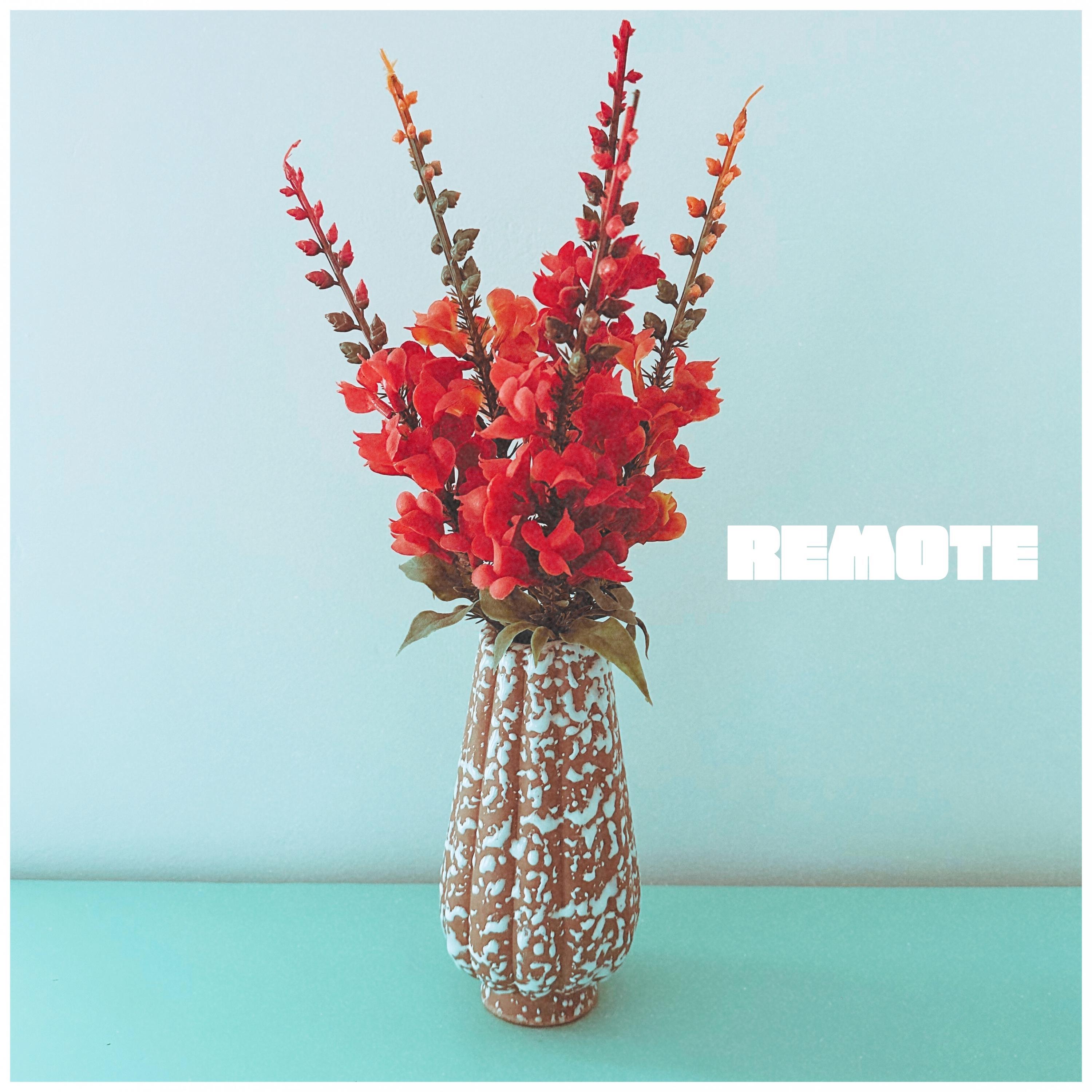 Релиз Remote