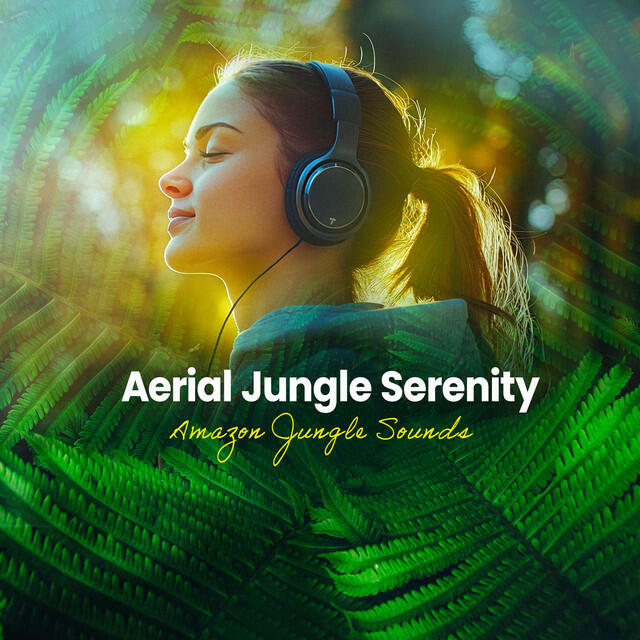 Релиз Aerial Jungle Serenity