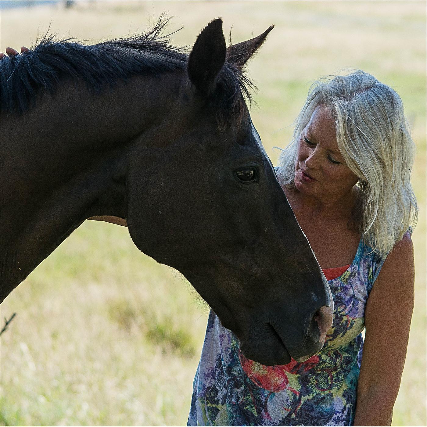 Релиз A Country Road and Horses
