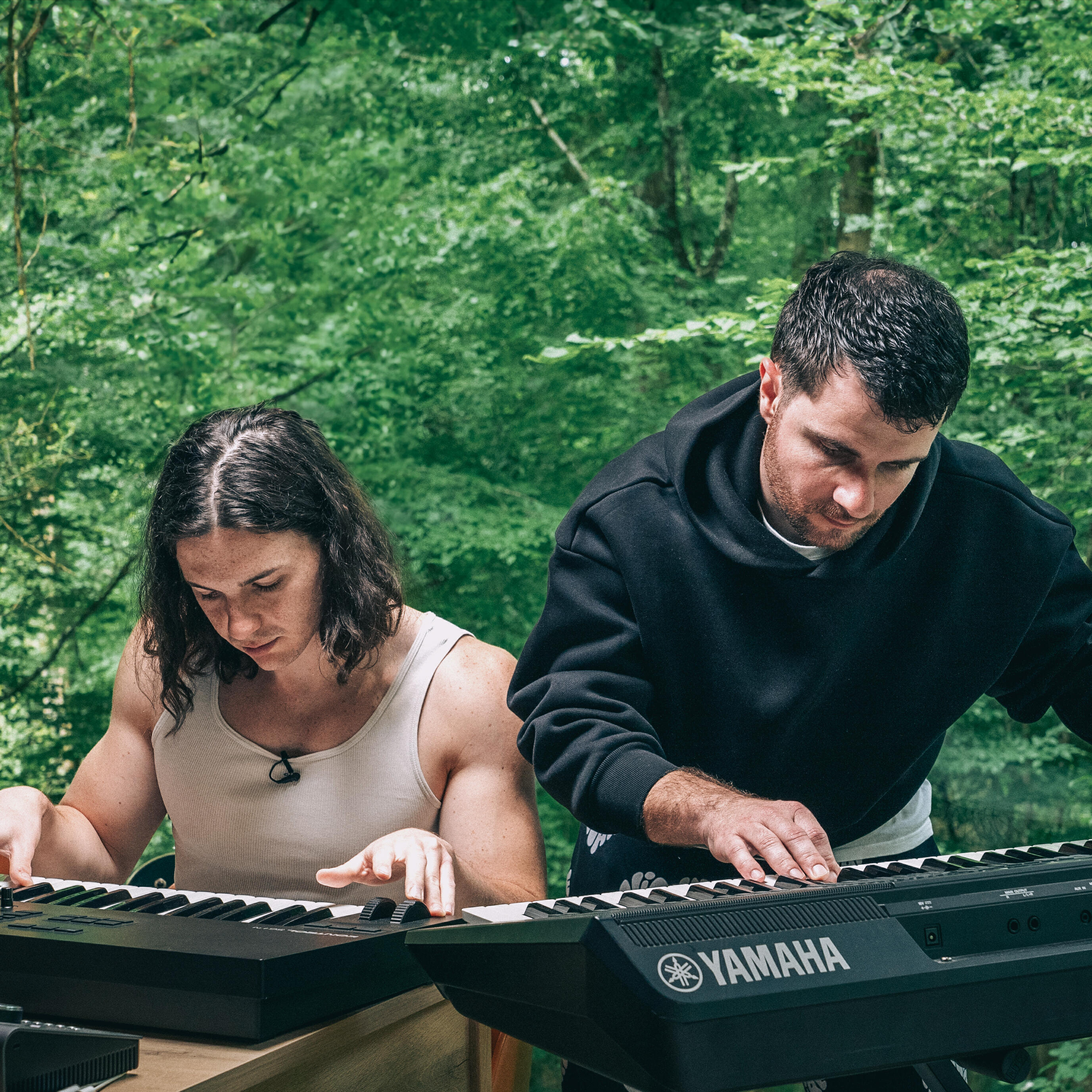 Релиз The Forest