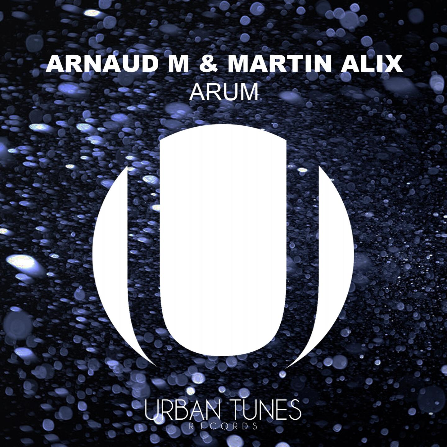 Релиз Arum