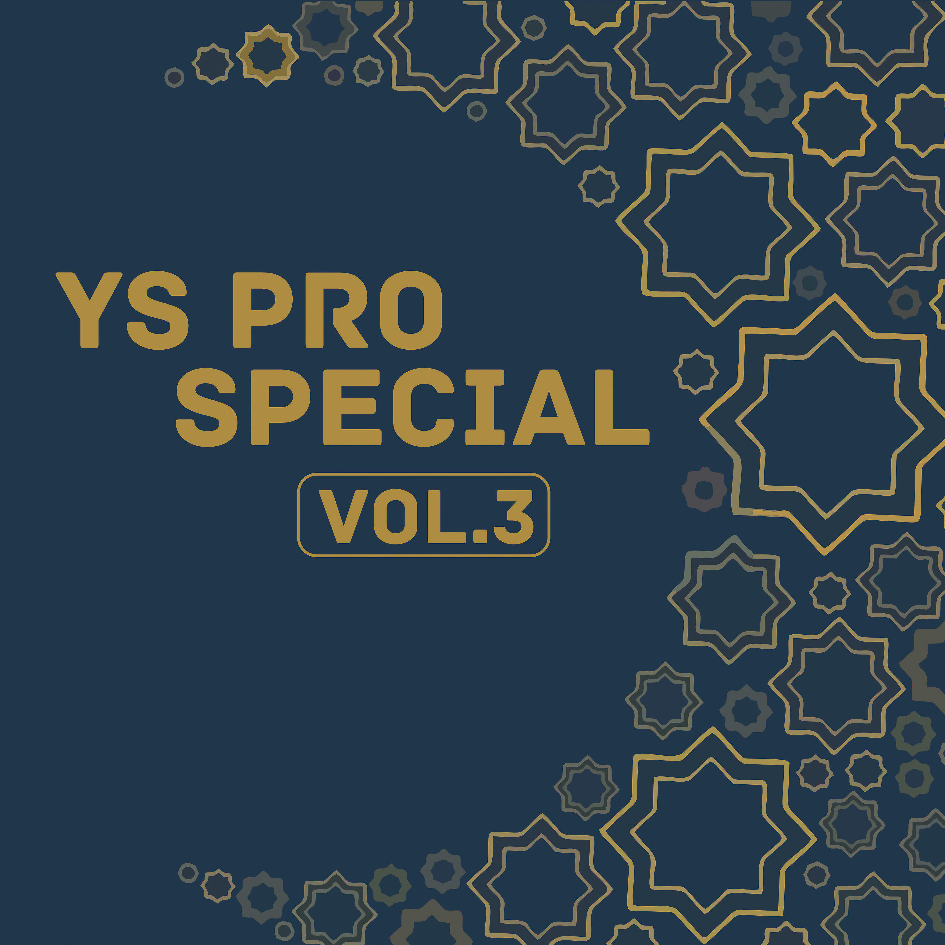 Релиз Ys Pro Special, Vol. 3