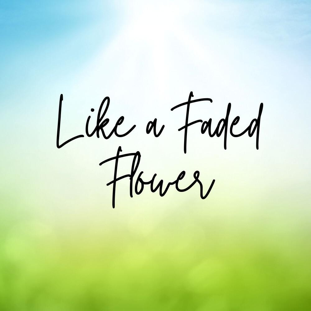 Релиз Like a Faded Flower
