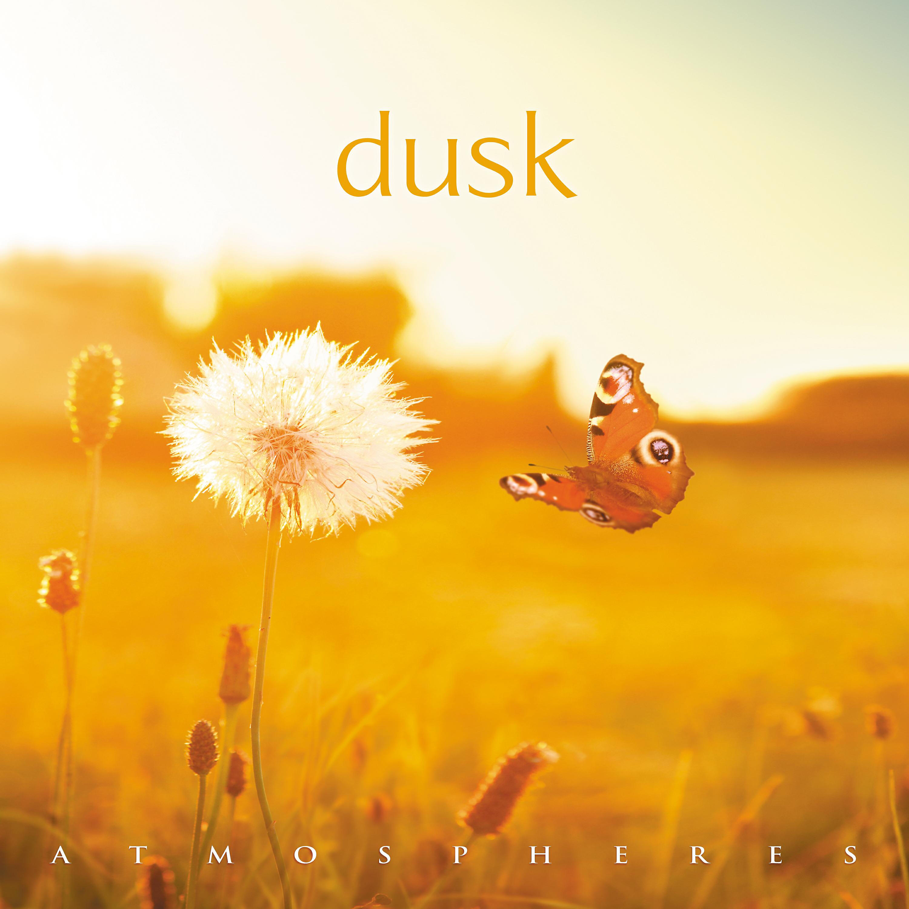 Релиз Dusk