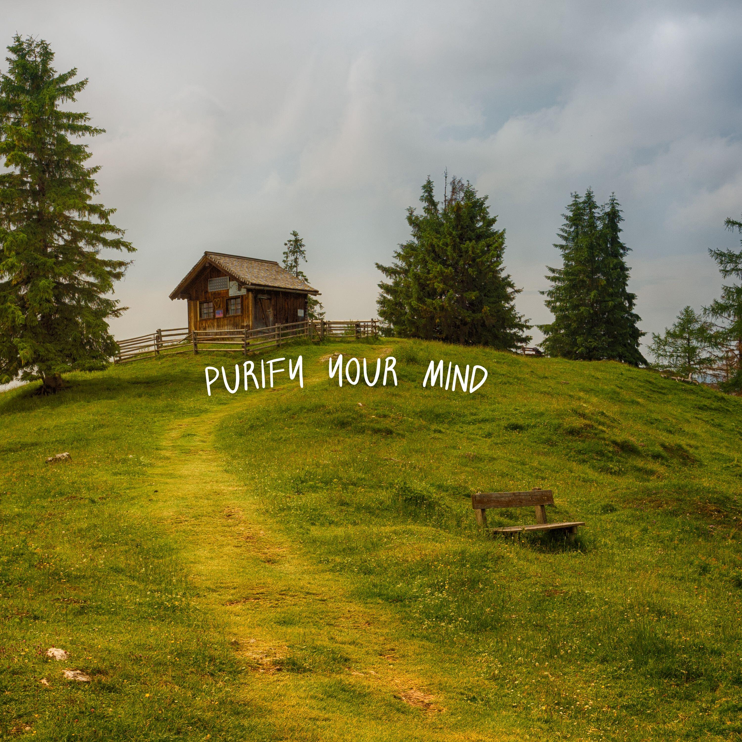 Релиз Purify Your Mind