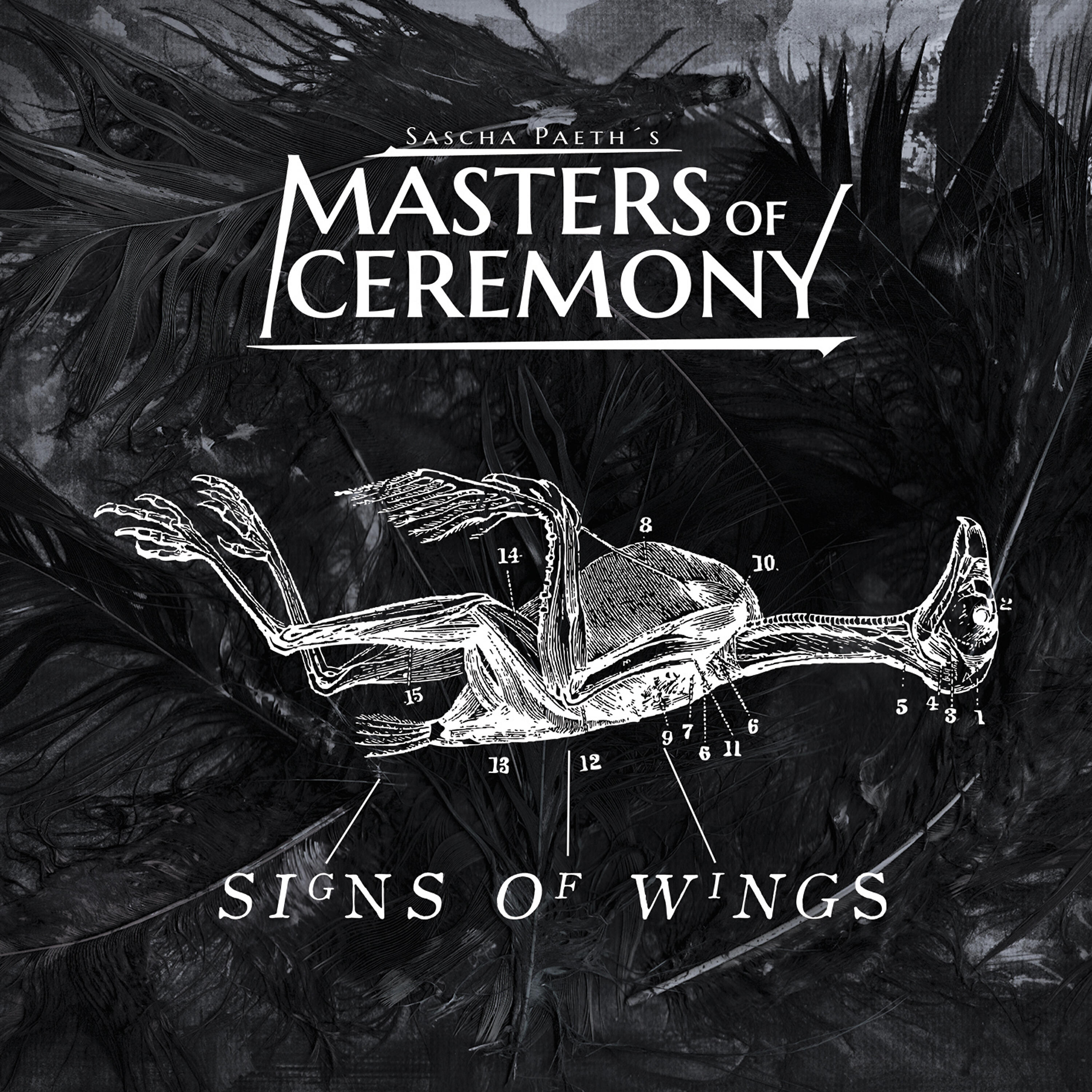 Релиз Signs of Wings