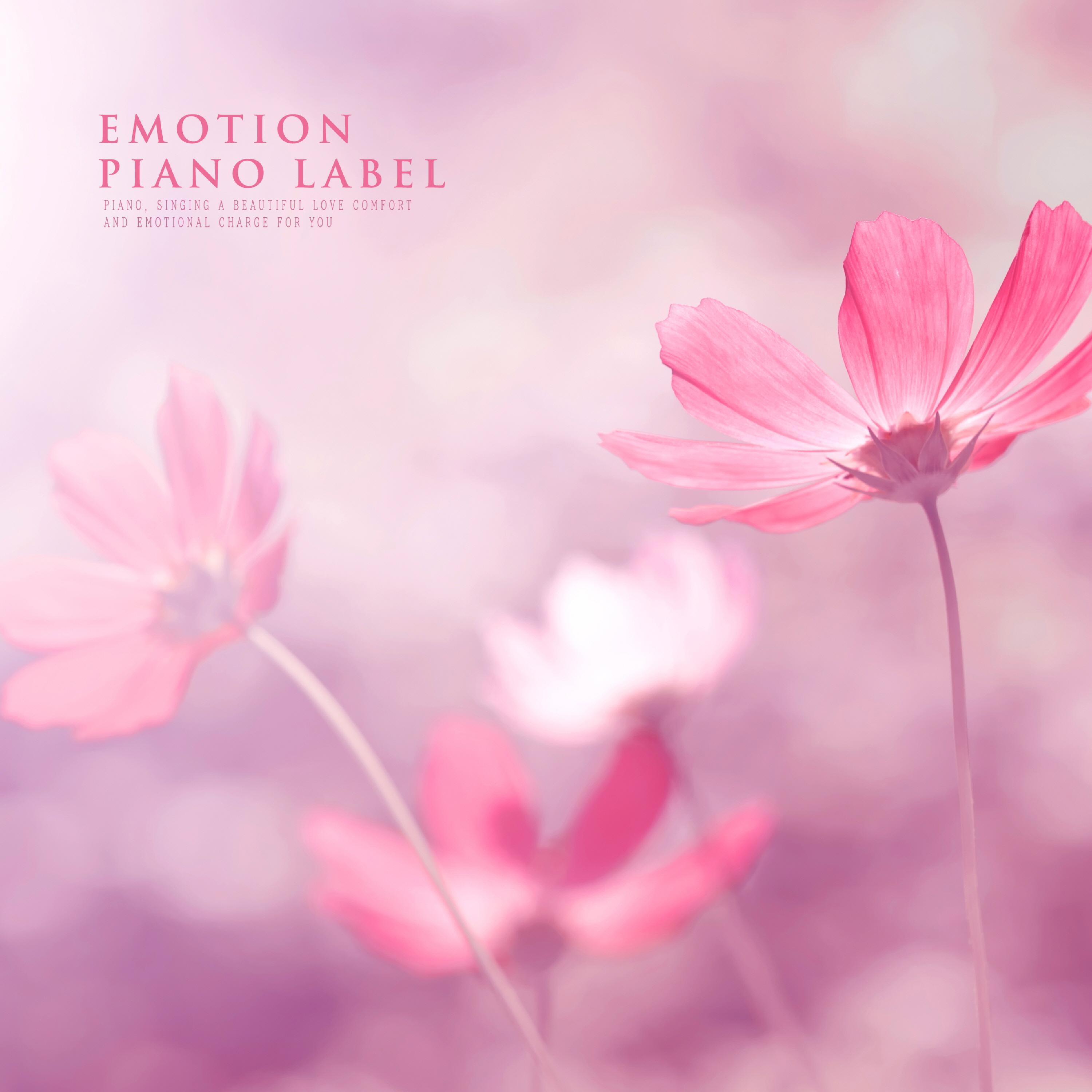 Релиз The Piano Melody Of Comfort That You Can Tell