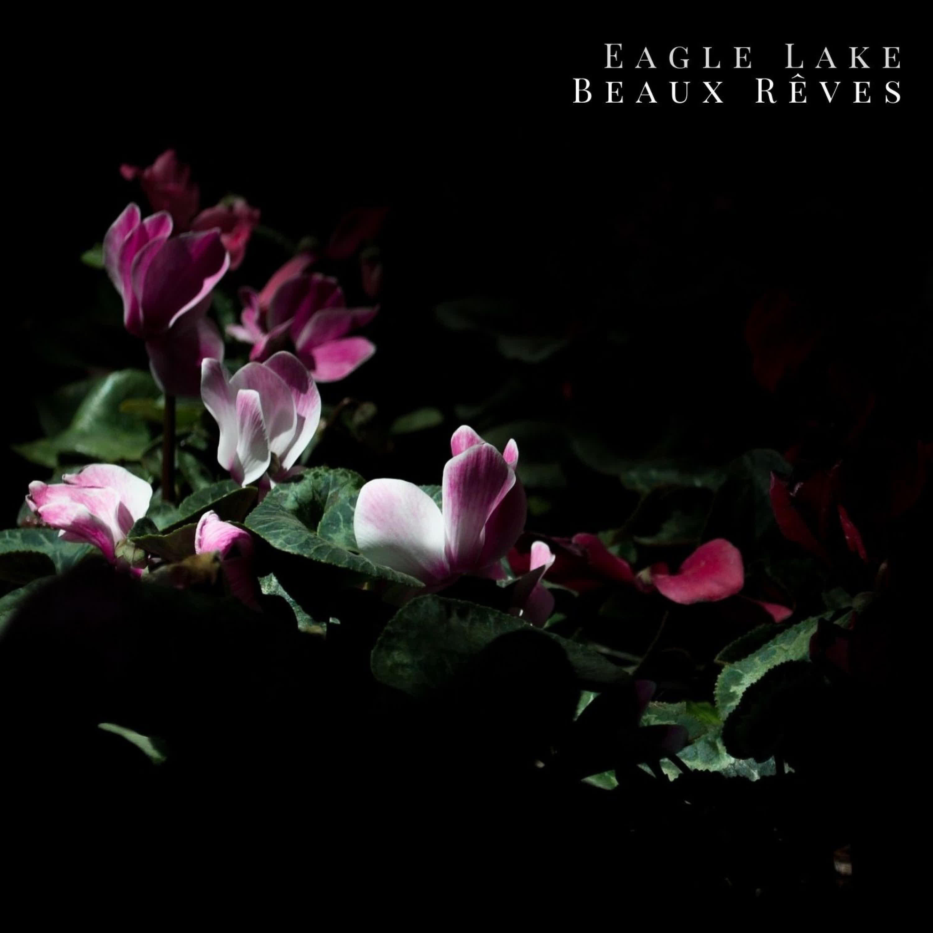 Релиз Beaux rêves