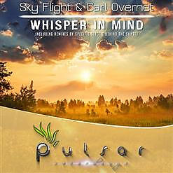 Sky Flight