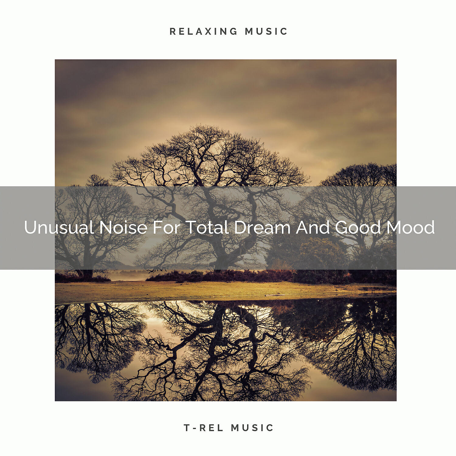 Релиз Unusual Noise For Total Dream And Good Mood