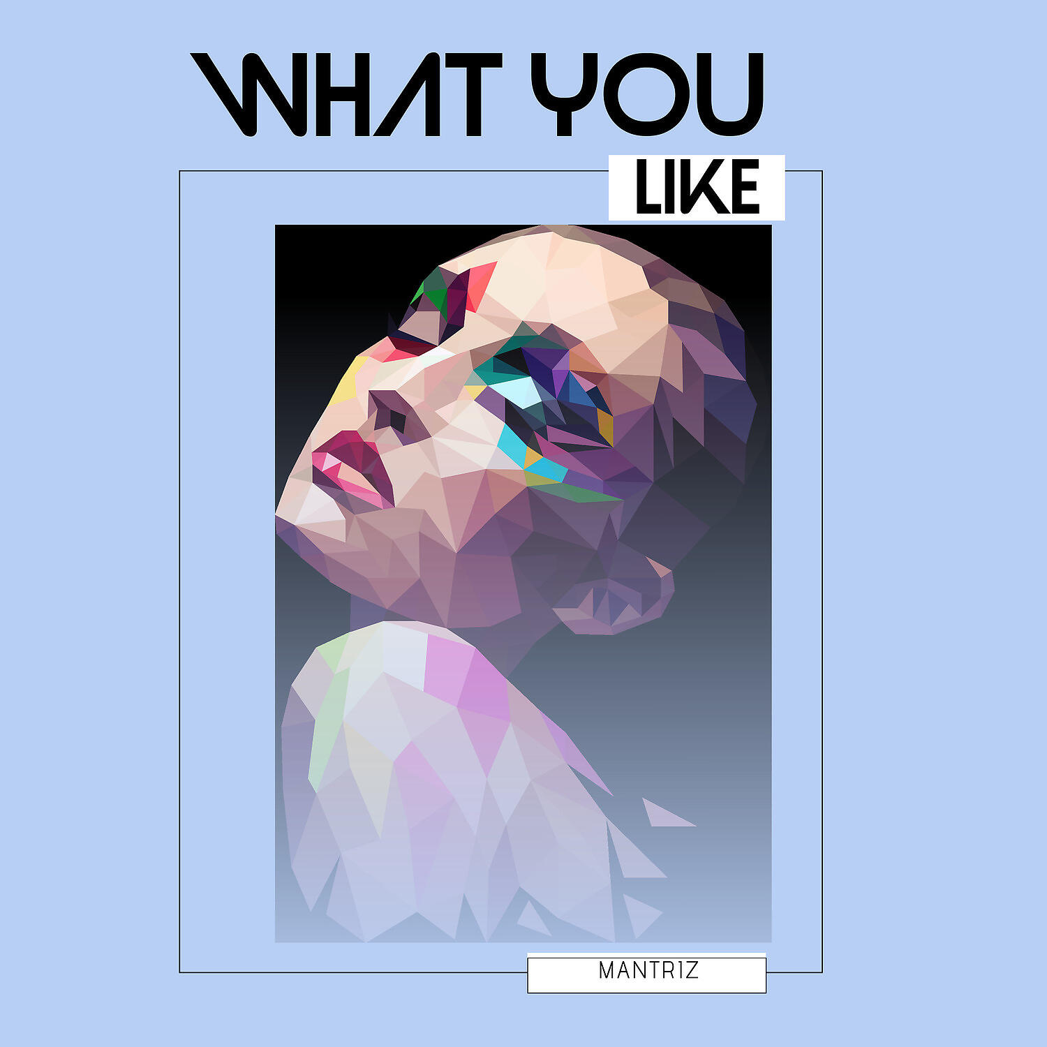 Релиз What You Like