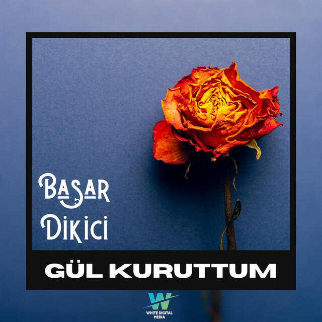 Релиз Gül Kuruttum