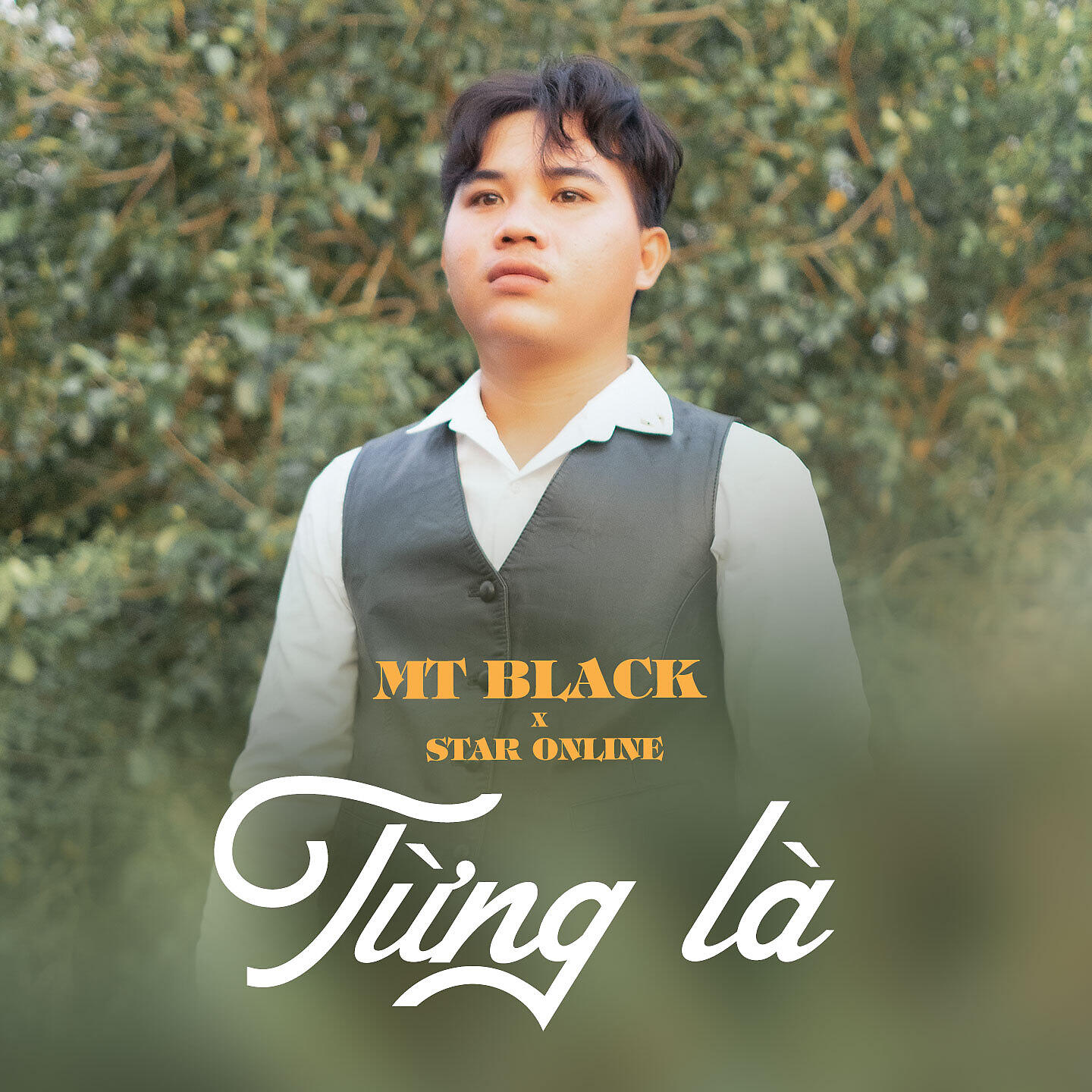 Релиз Từng Là