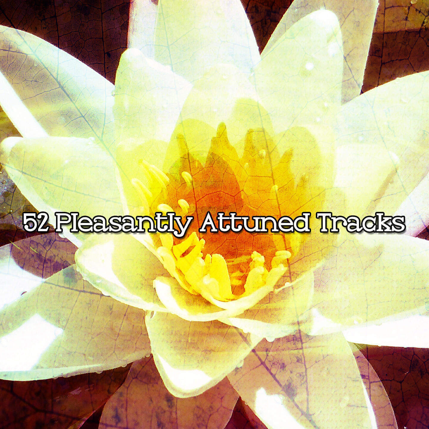 Релиз 52 Pleasantly Attuned Tracks