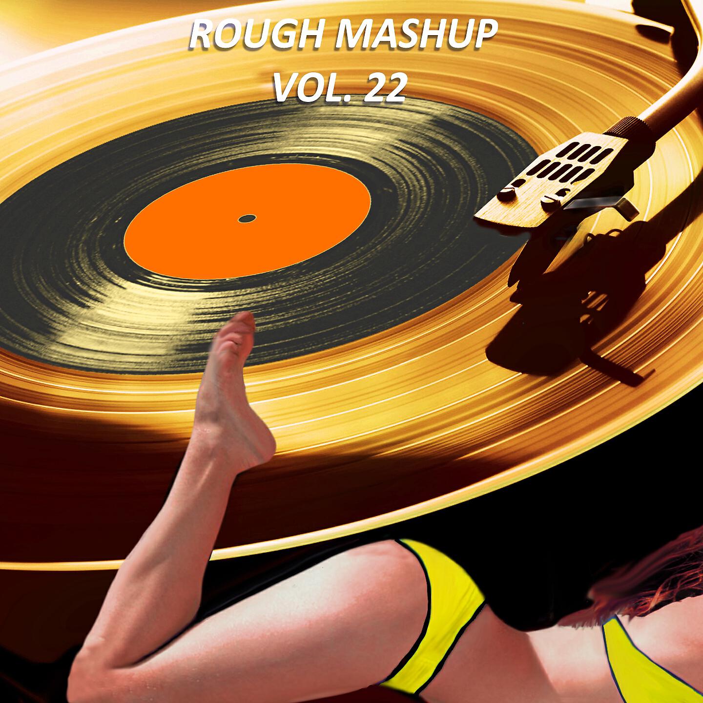 Постер альбома Rough Mashup, Vol. 22