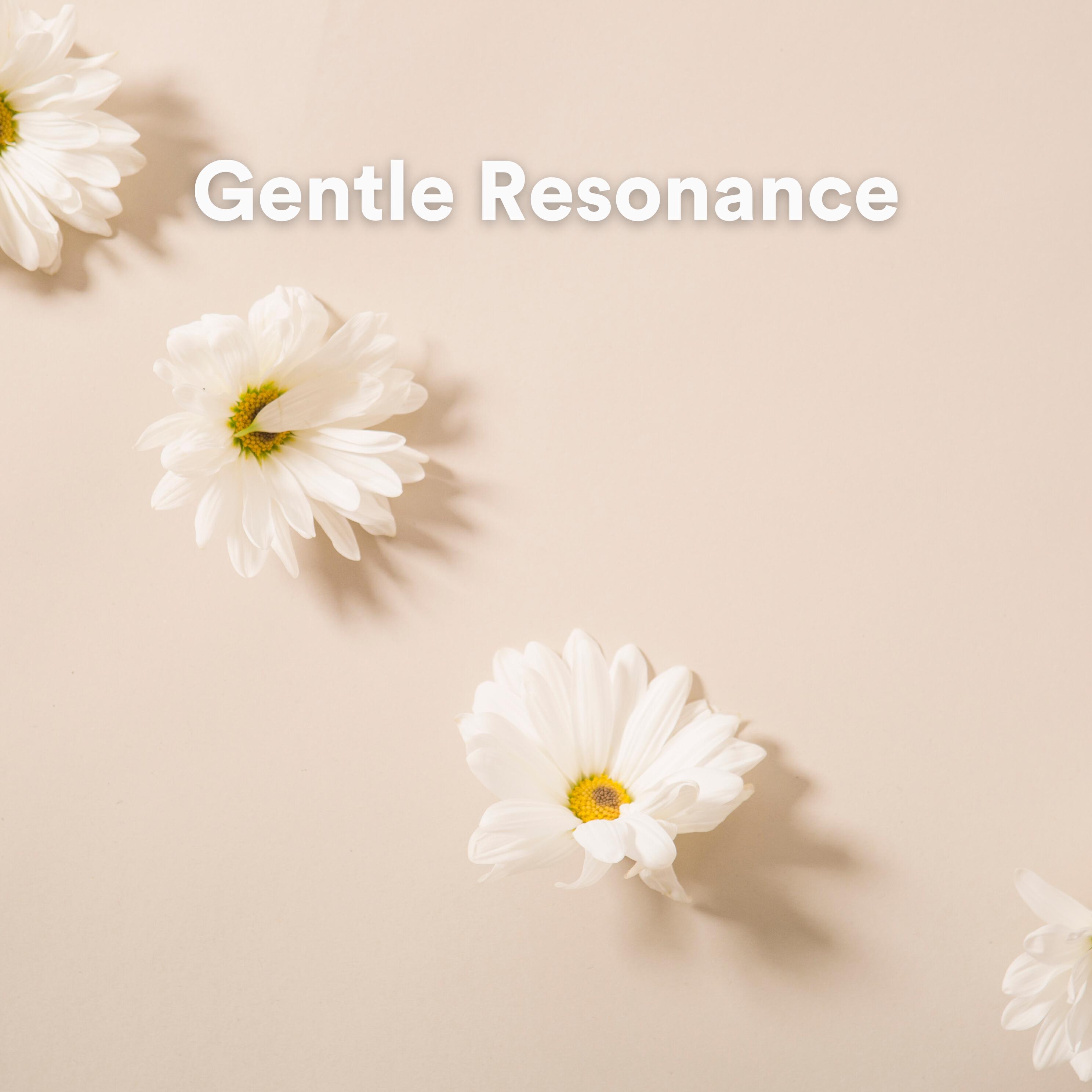 Релиз Gentle Resonance