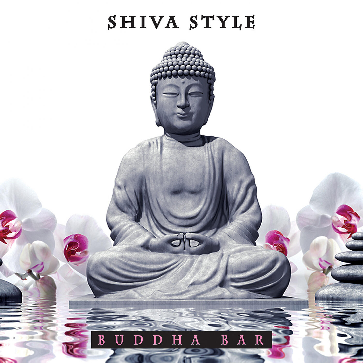 Постер альбома Shiva Style