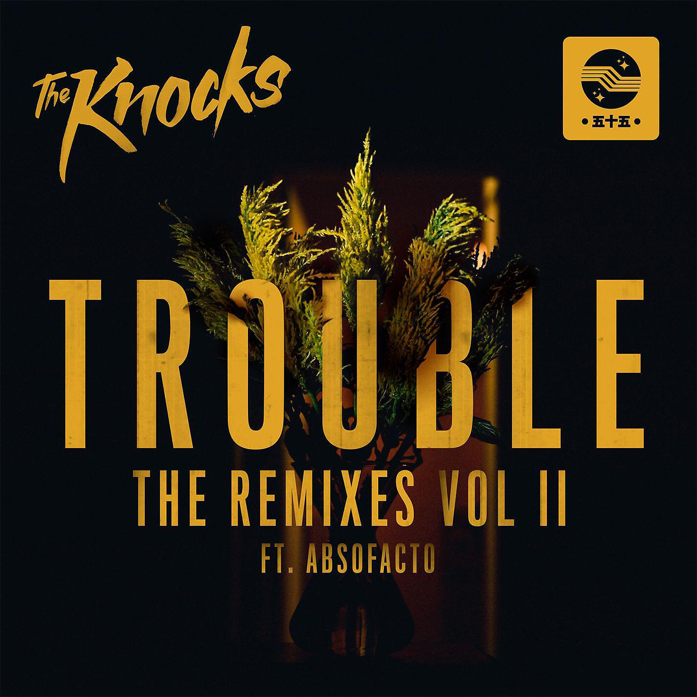 Релиз TROUBLE (feat. Absofacto) [The Remixes Part II]