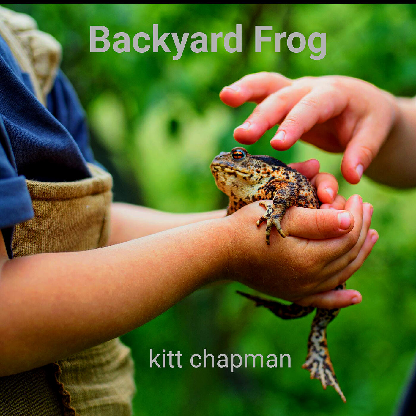 Релиз Backyard Frog
