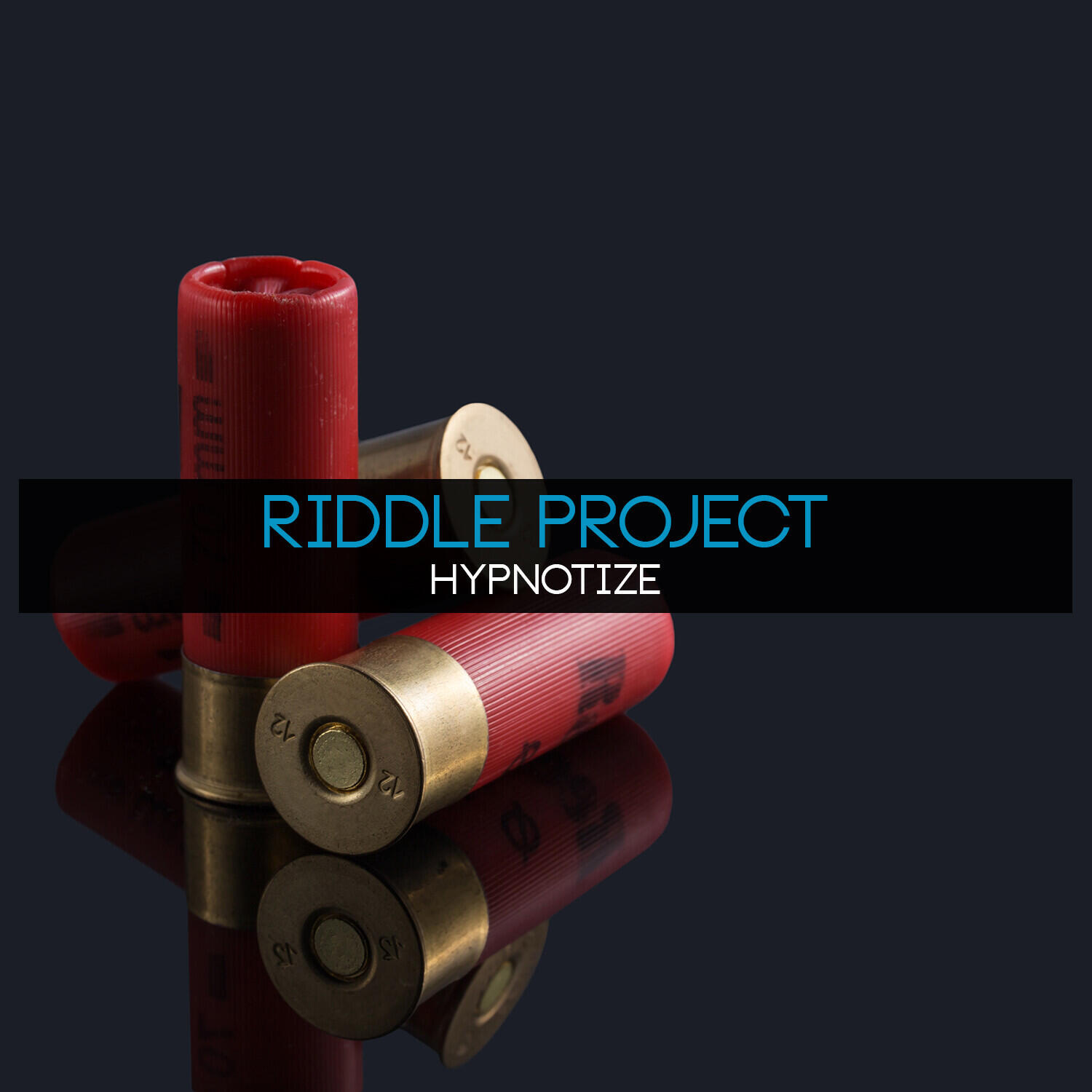 Riddle Project