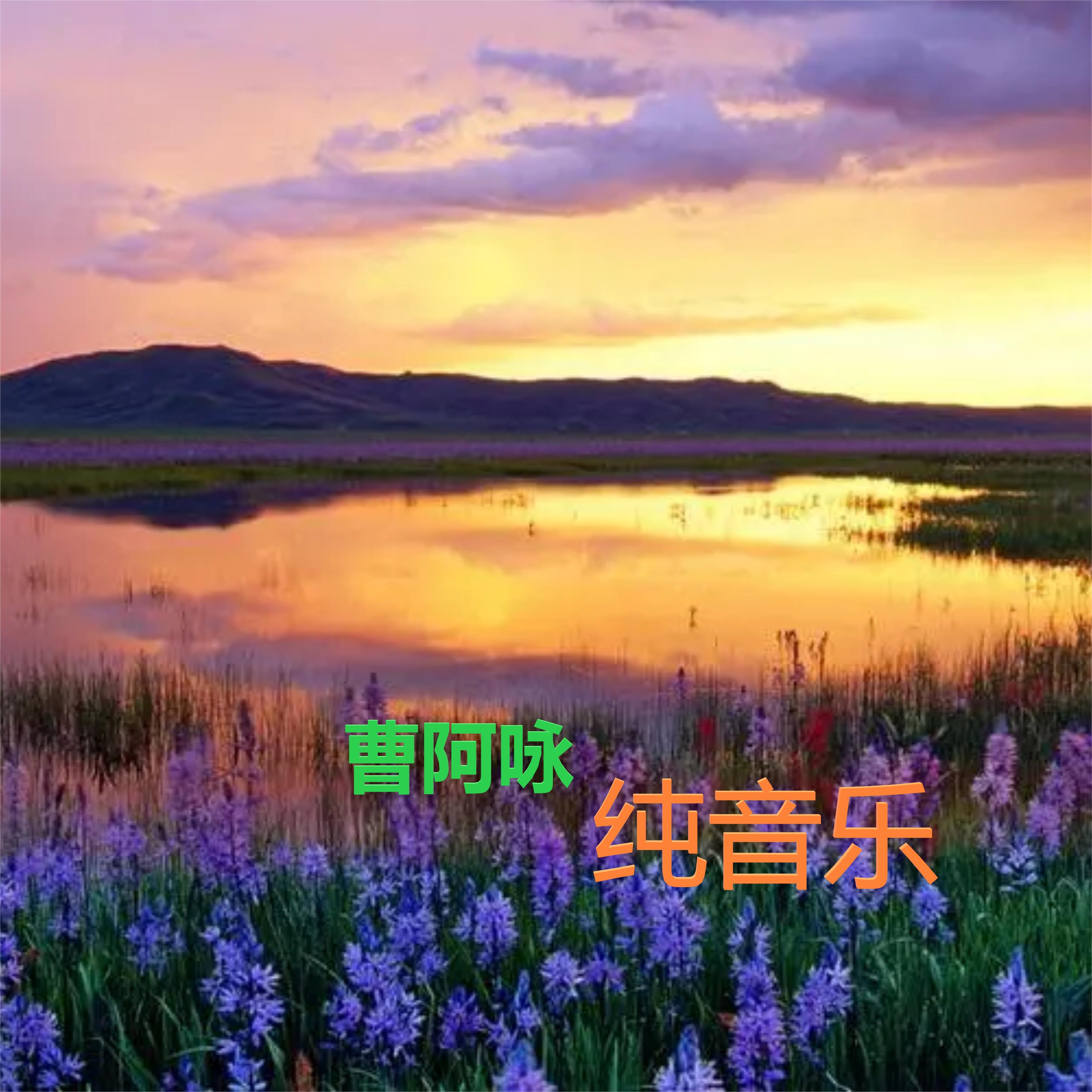 Релиз 曹阿咏《纯音乐合集》