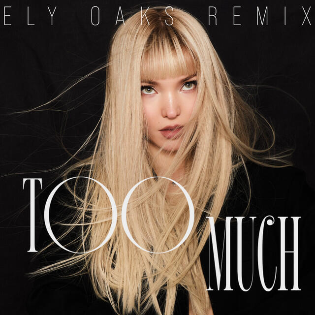Постер альбома Too Much (Ely Oaks Remix)