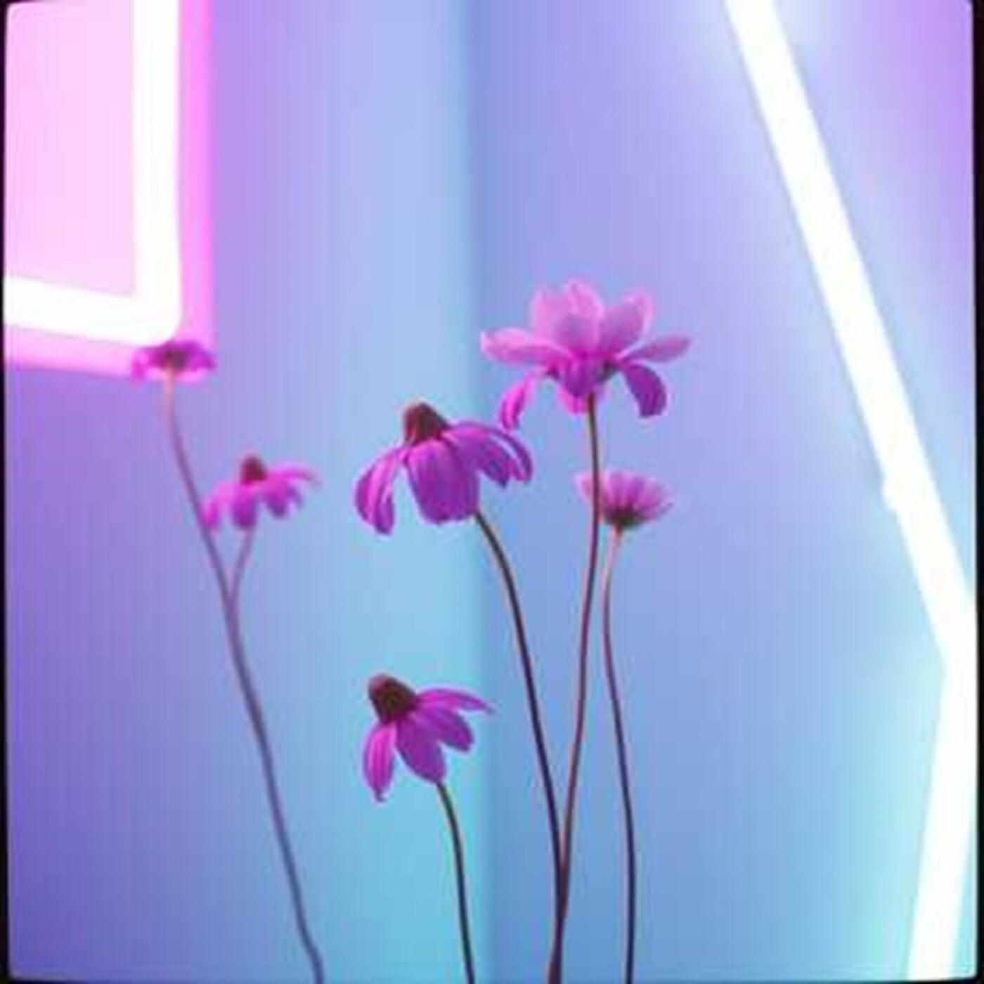 Релиз Remember Me