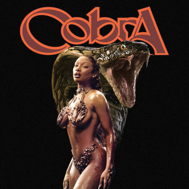 Релиз Cobra