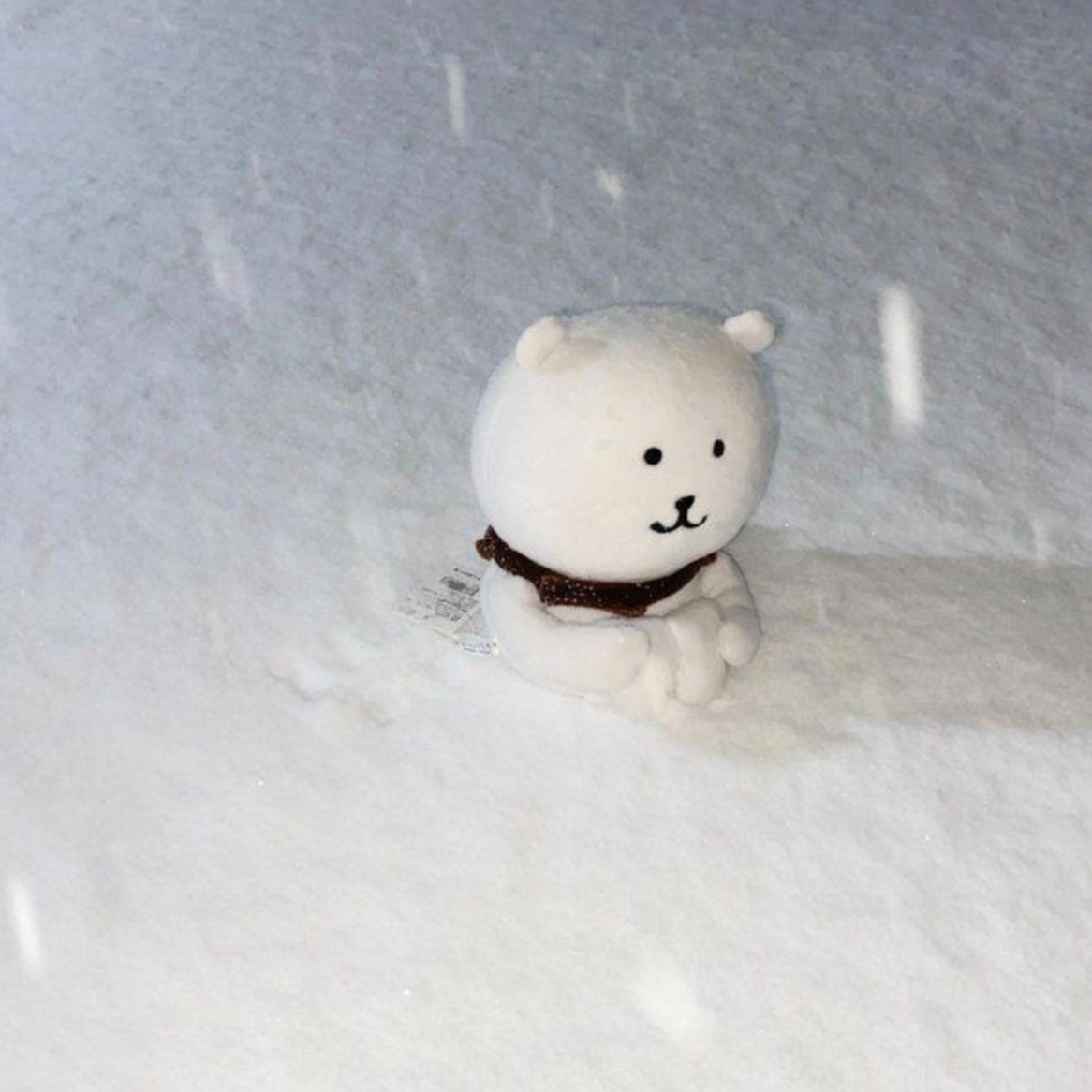 Релиз SNOWinJune