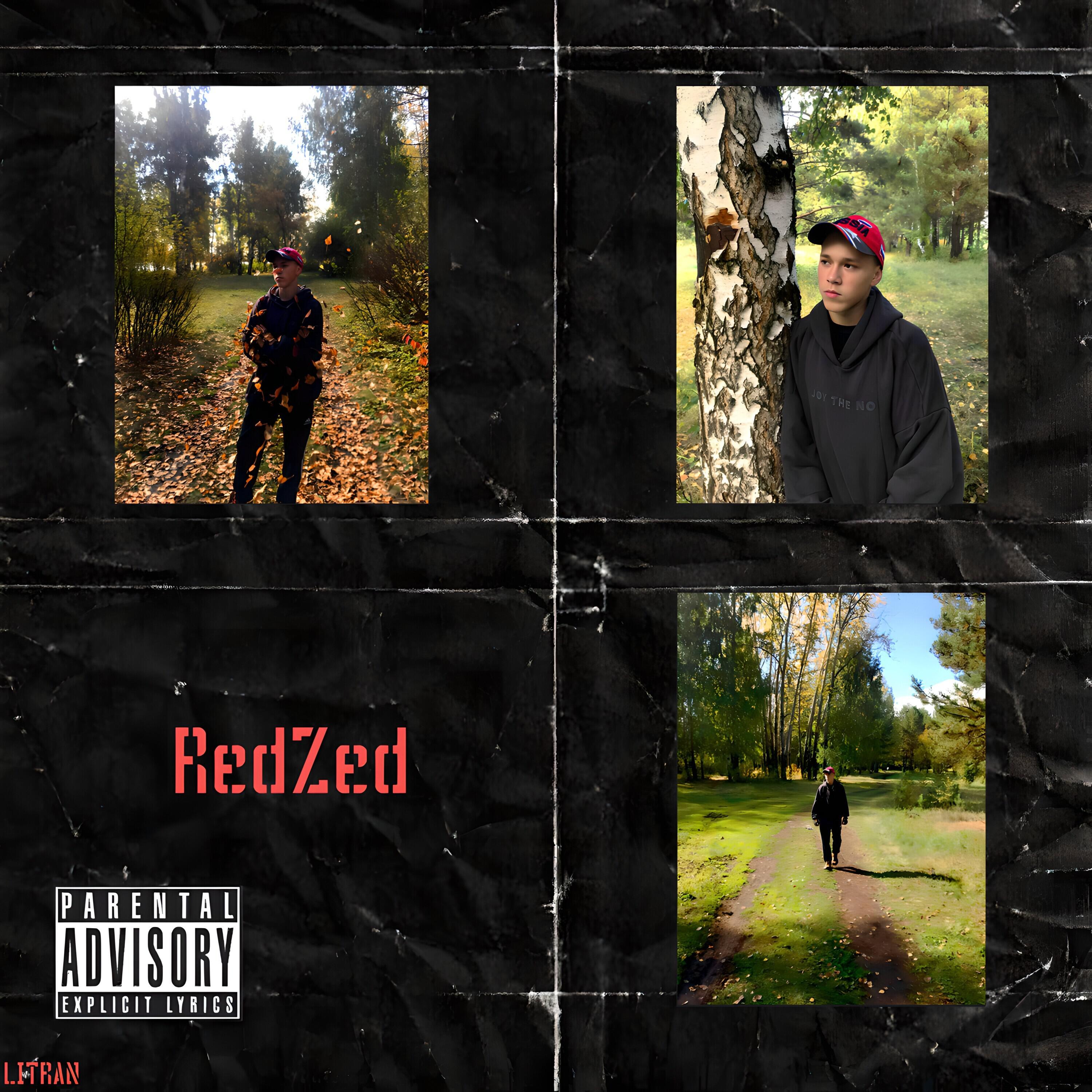 Релиз Redzed